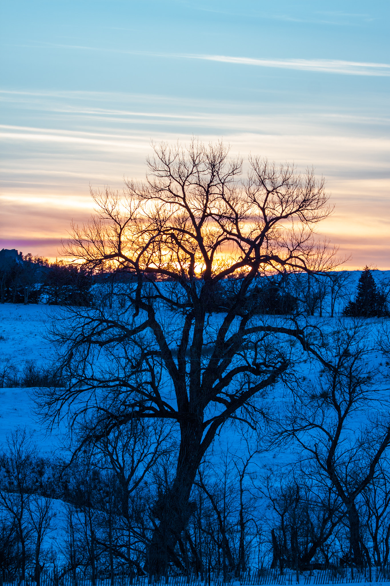 150-600mm F5-6.3 DG OS HSM | Contemporary 015 sample photo. Pine ridge sunset photography