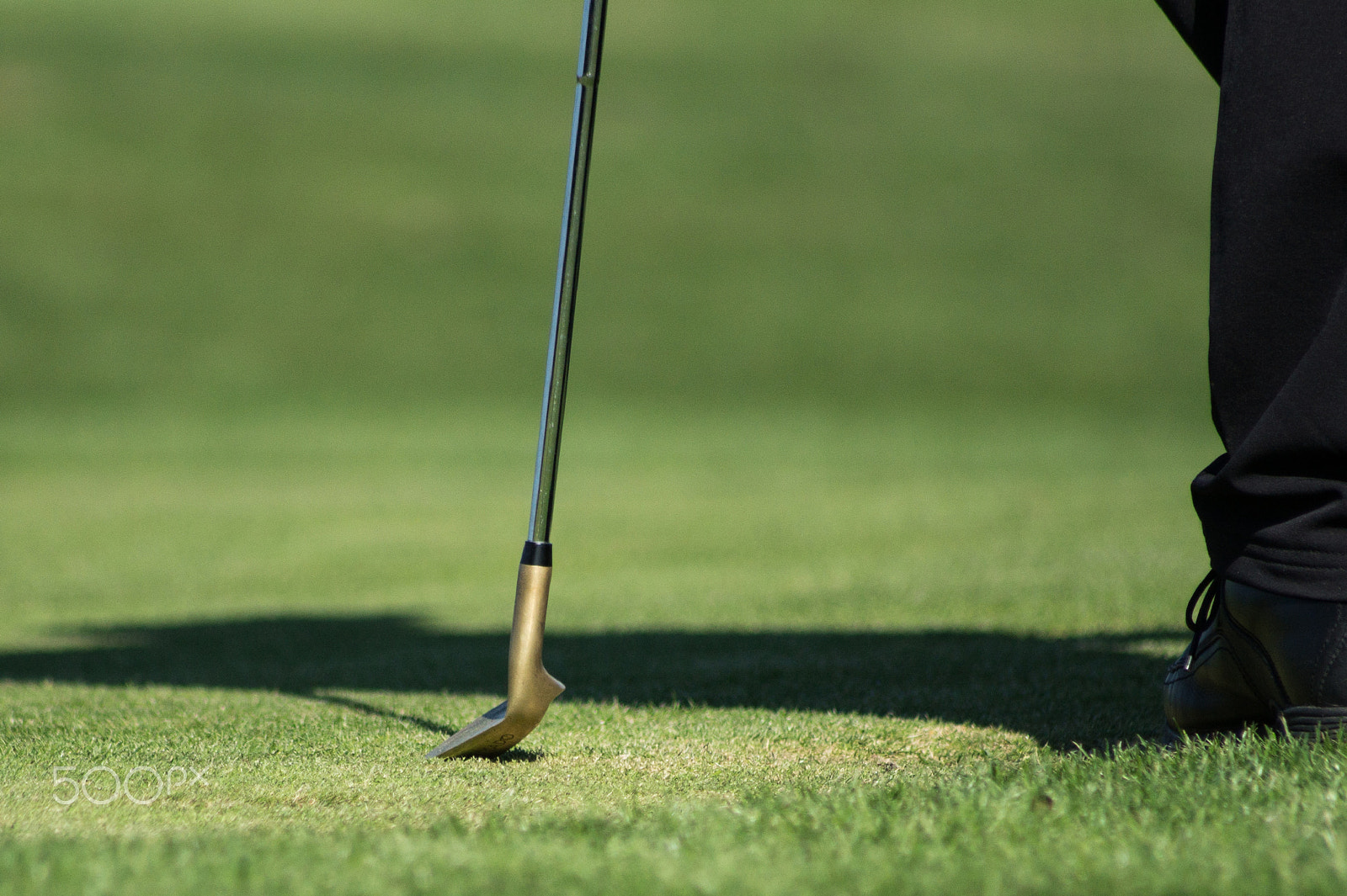 Sony 75-300mm F4.5-5.6 sample photo. Putter photography