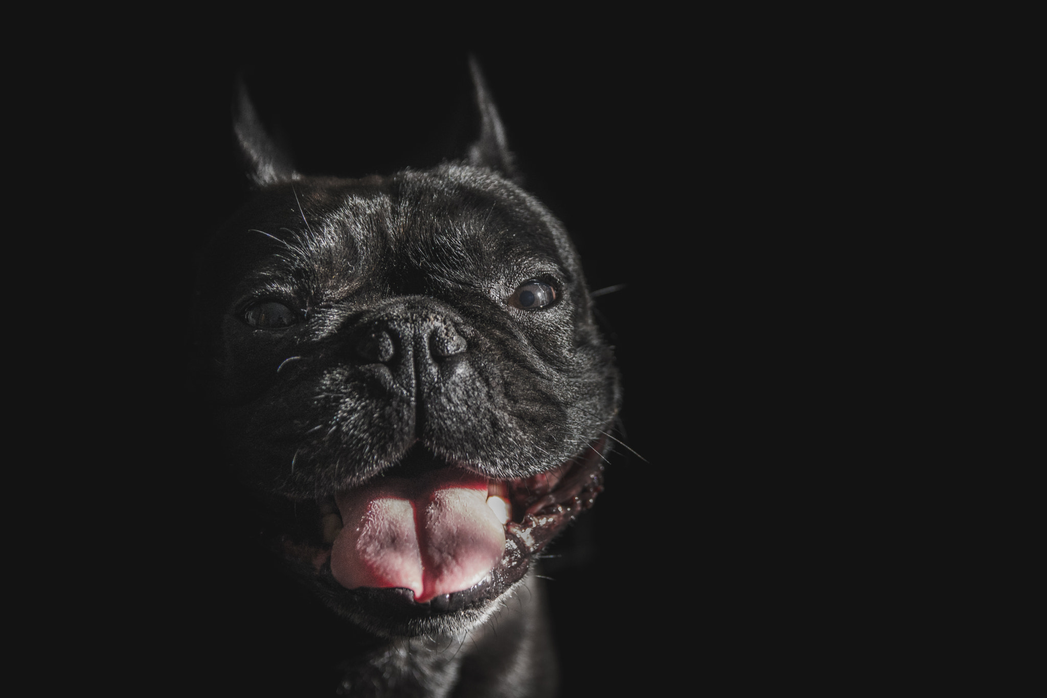 Sigma 17-50mm F2.8 EX DC HSM sample photo. Arya in the dark photography