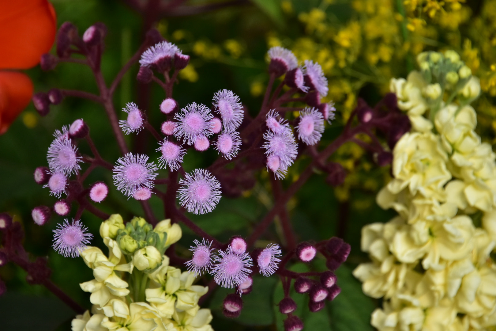 Nikon D7200 sample photo