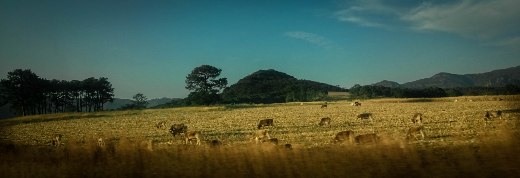 Sony Xperia Z1 Compact sample photo. Friends photography