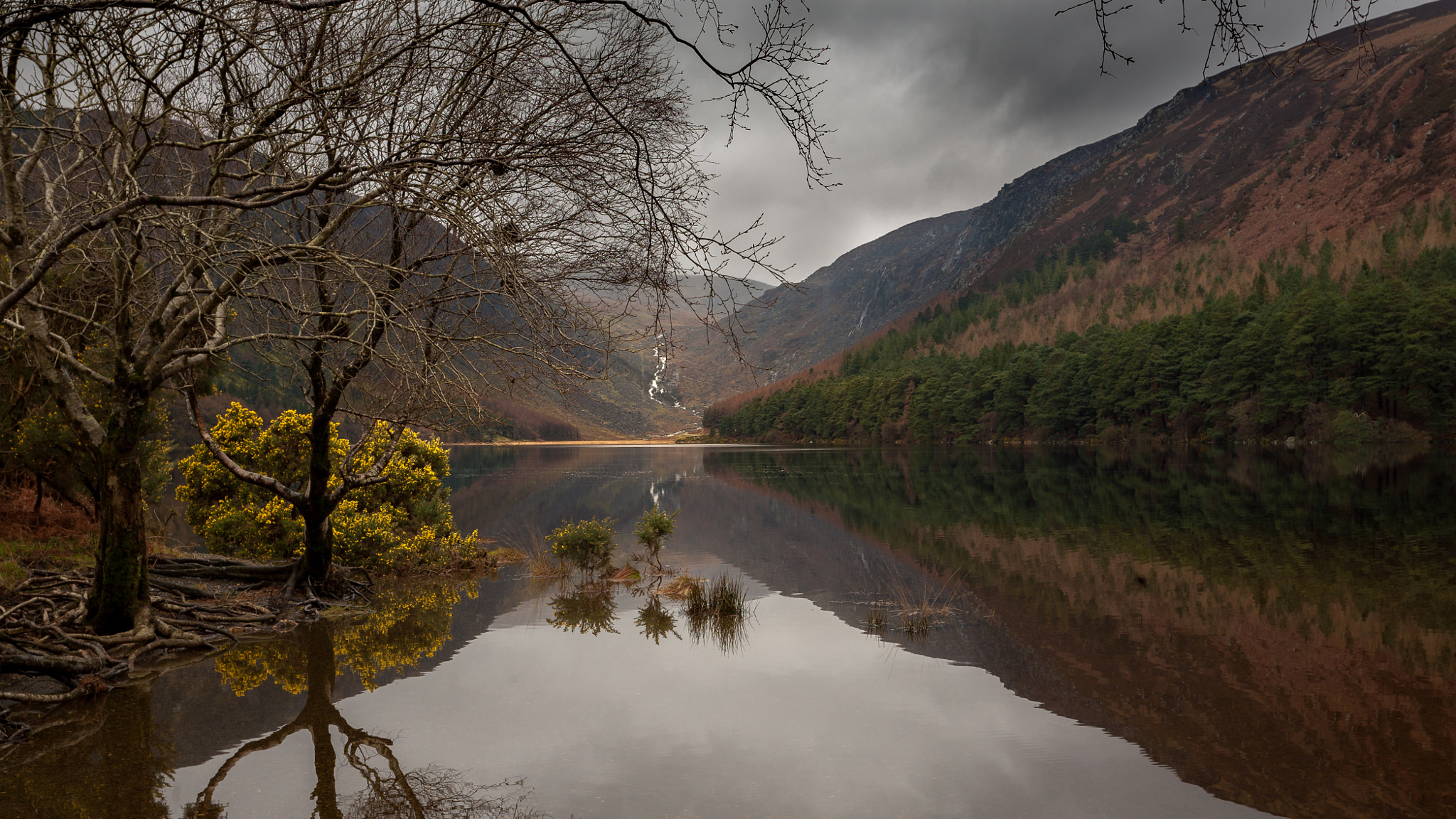 Canon EOS 5D + Canon EF 17-40mm F4L USM sample photo. Glendalough photography