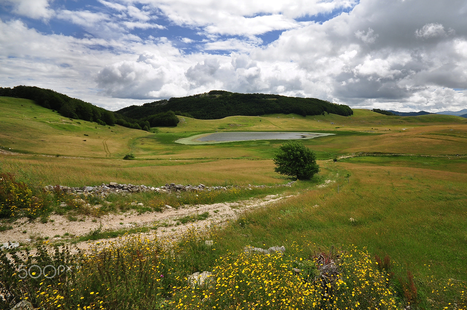 Sigma 10-20mm F4-5.6 EX DC HSM sample photo. Durmitor photography