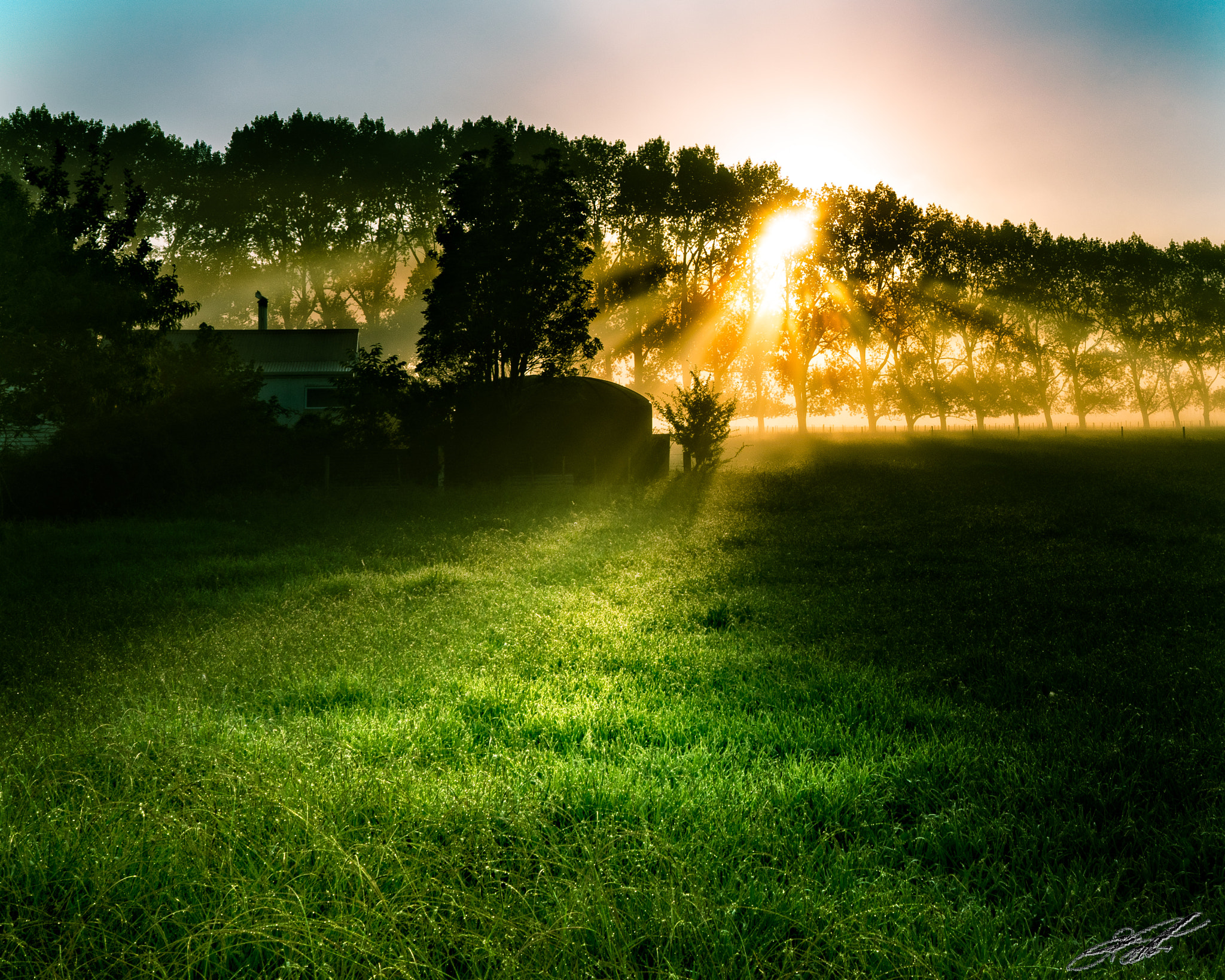 Sony a7R II + ZEISS Batis 25mm F2 sample photo. Morning dew photography