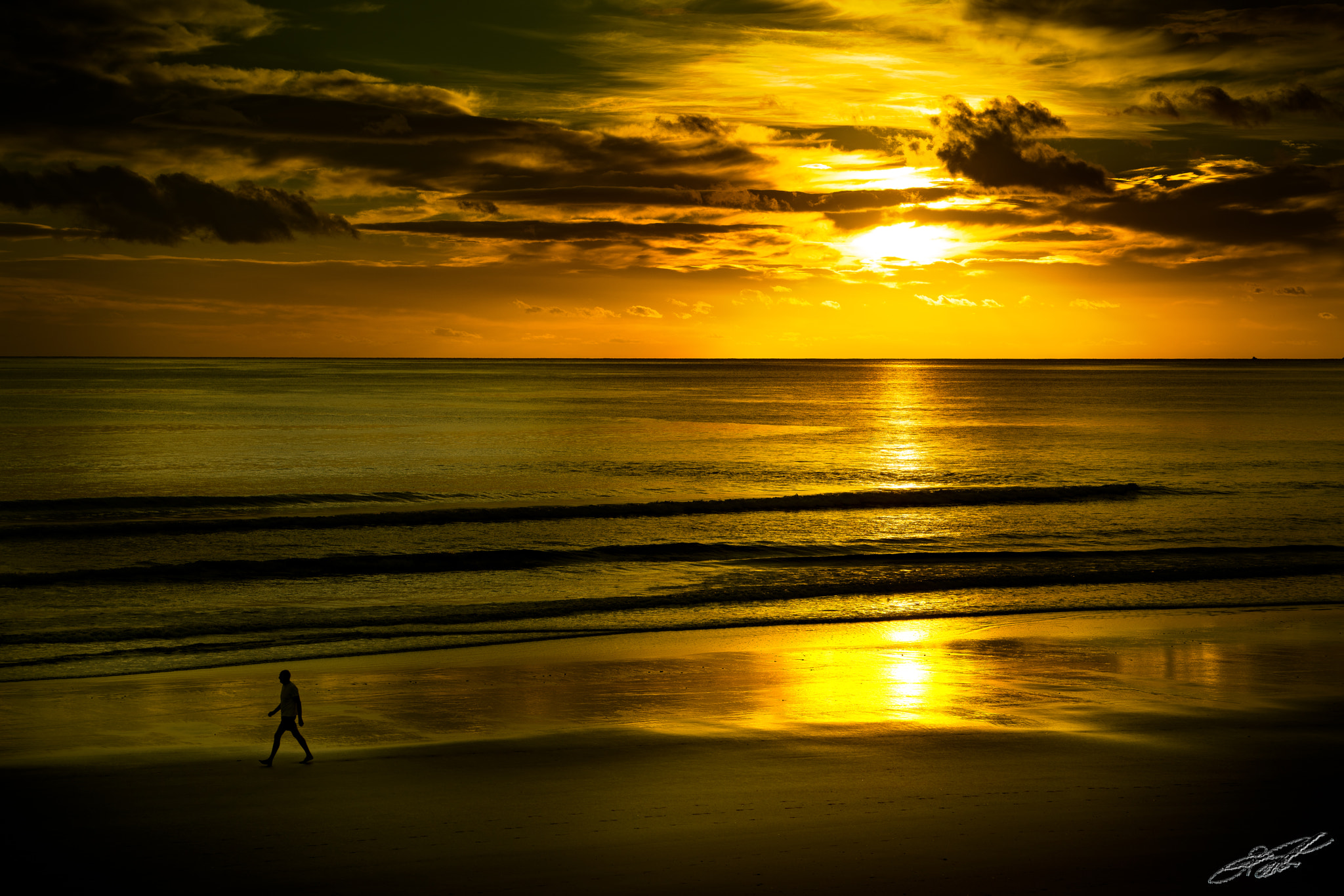 ZEISS Batis 85mm F1.8 sample photo. Golden morning photography