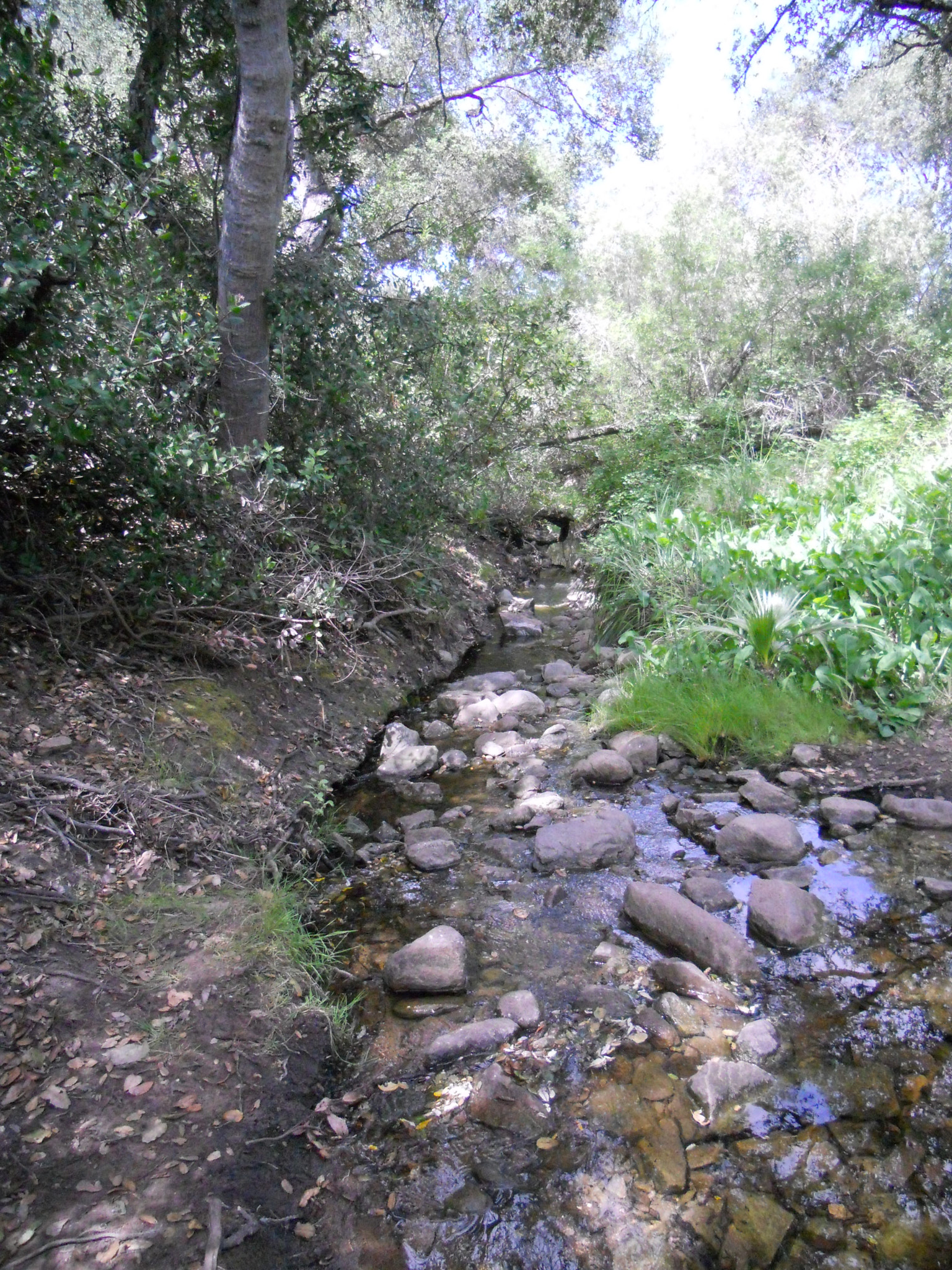 Nikon Coolpix S3000 sample photo. Hiking in carlsbad ca () photography