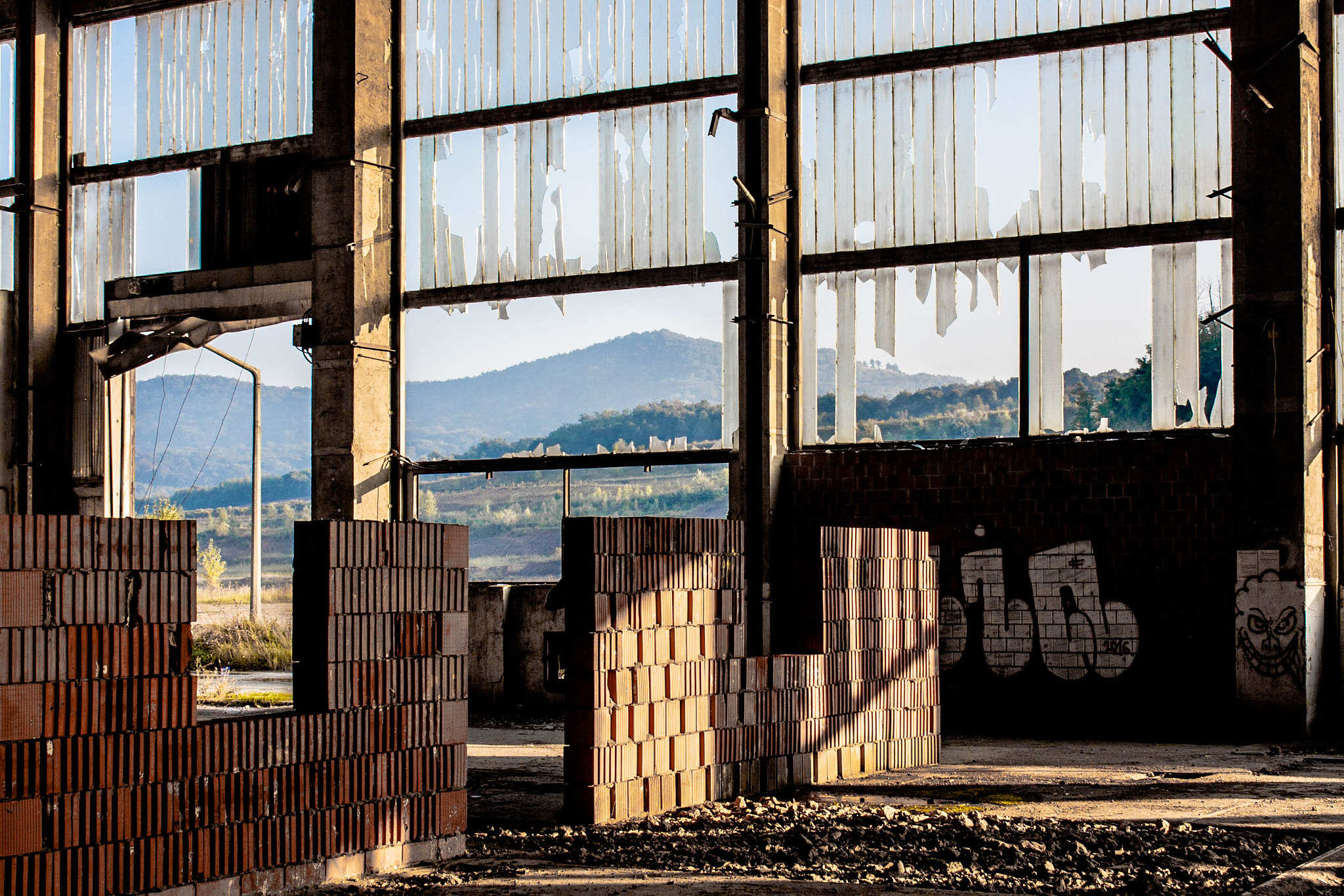 Canon EOS 40D sample photo. Stalker photography