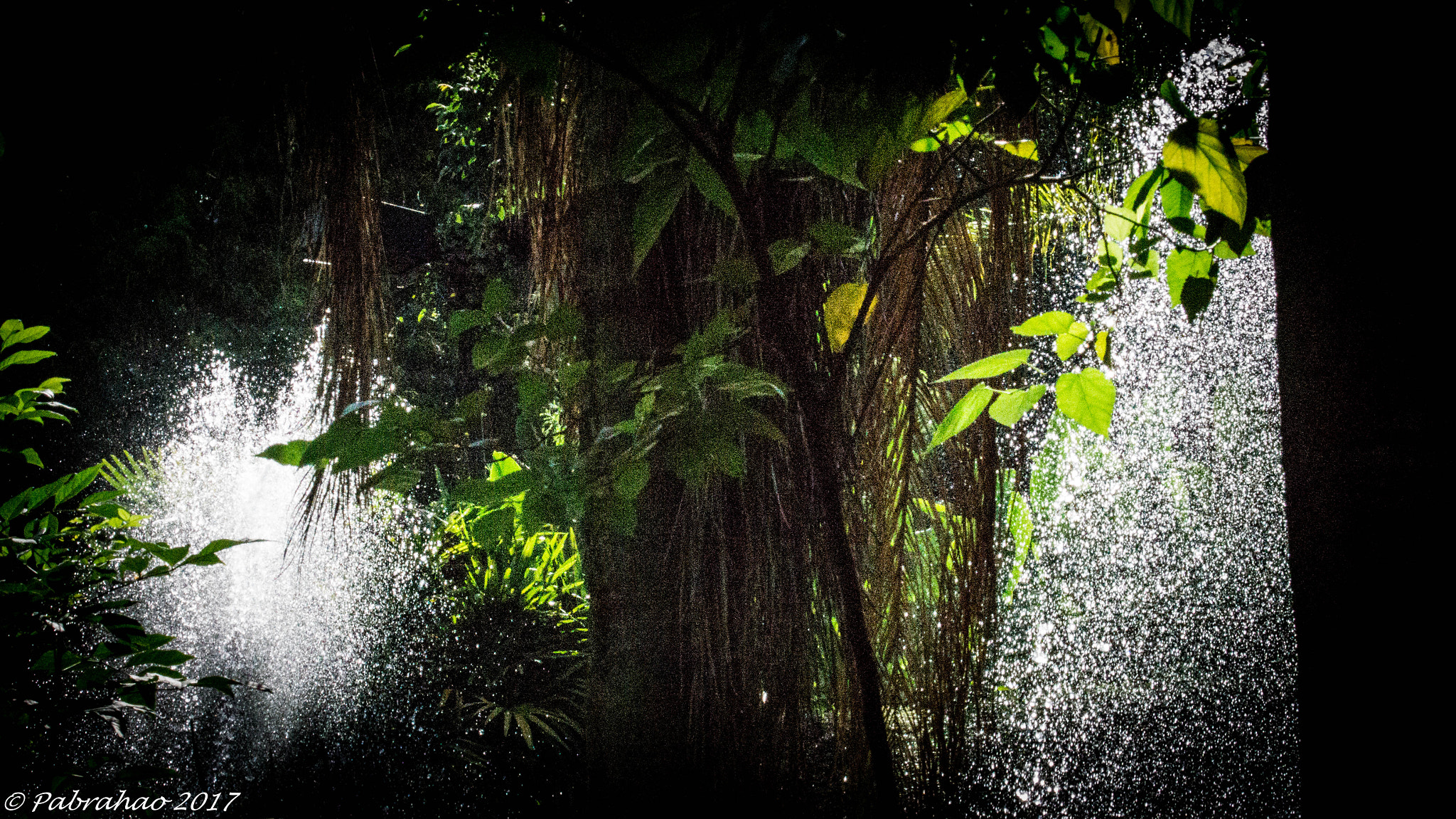 Sony 75-300mm F4.5-5.6 sample photo. Explosion of water... photography