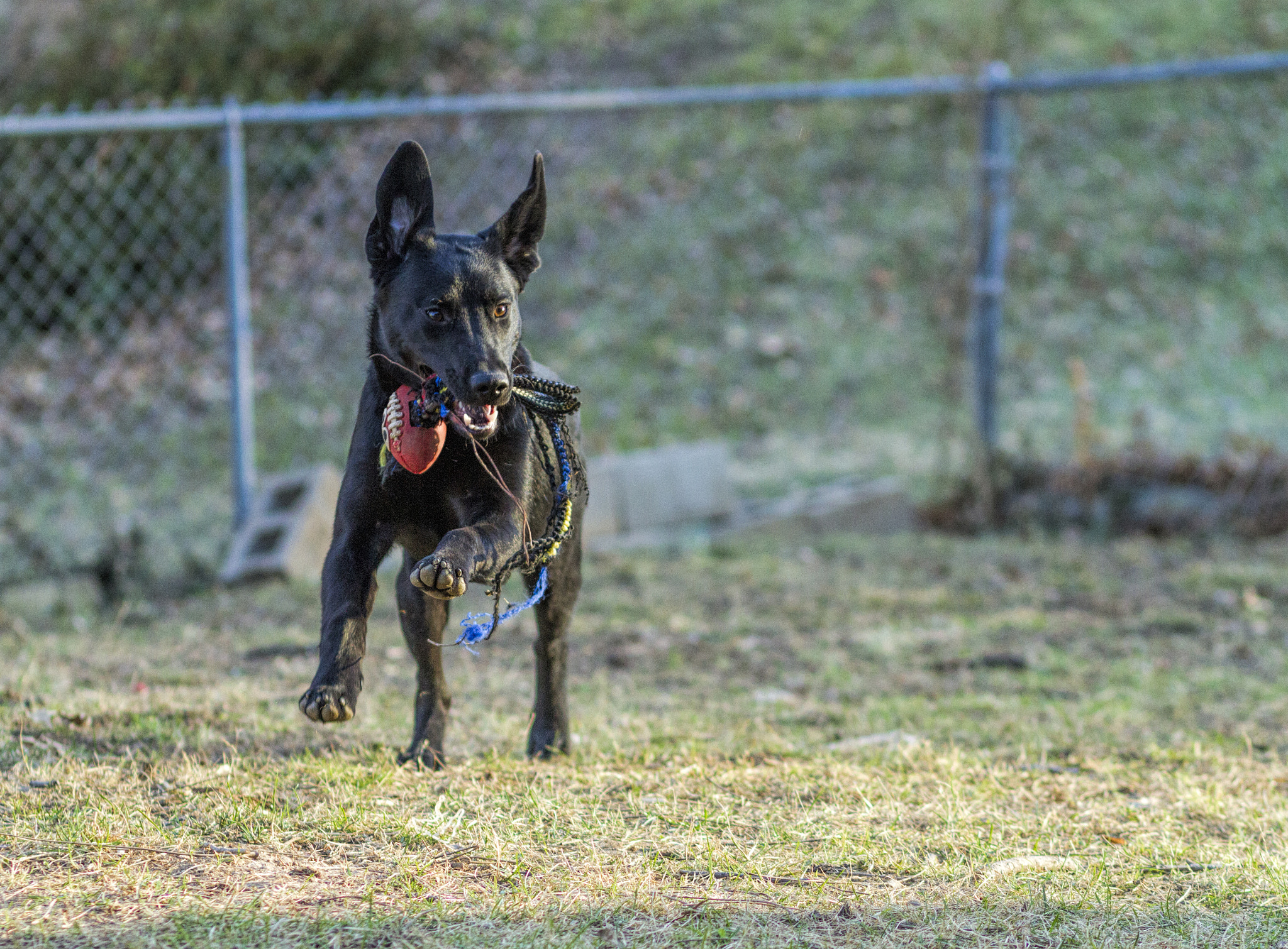 Canon EOS 7D + Canon EF 85mm F1.8 USM sample photo. Img photography