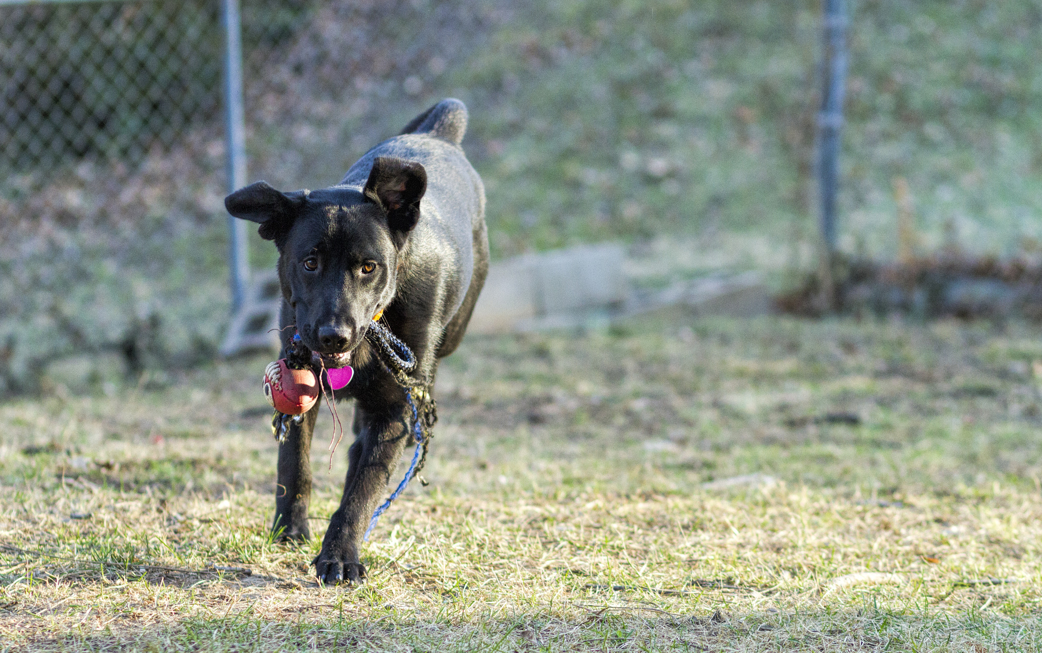 Canon EOS 7D + Canon EF 85mm F1.8 USM sample photo. Img photography