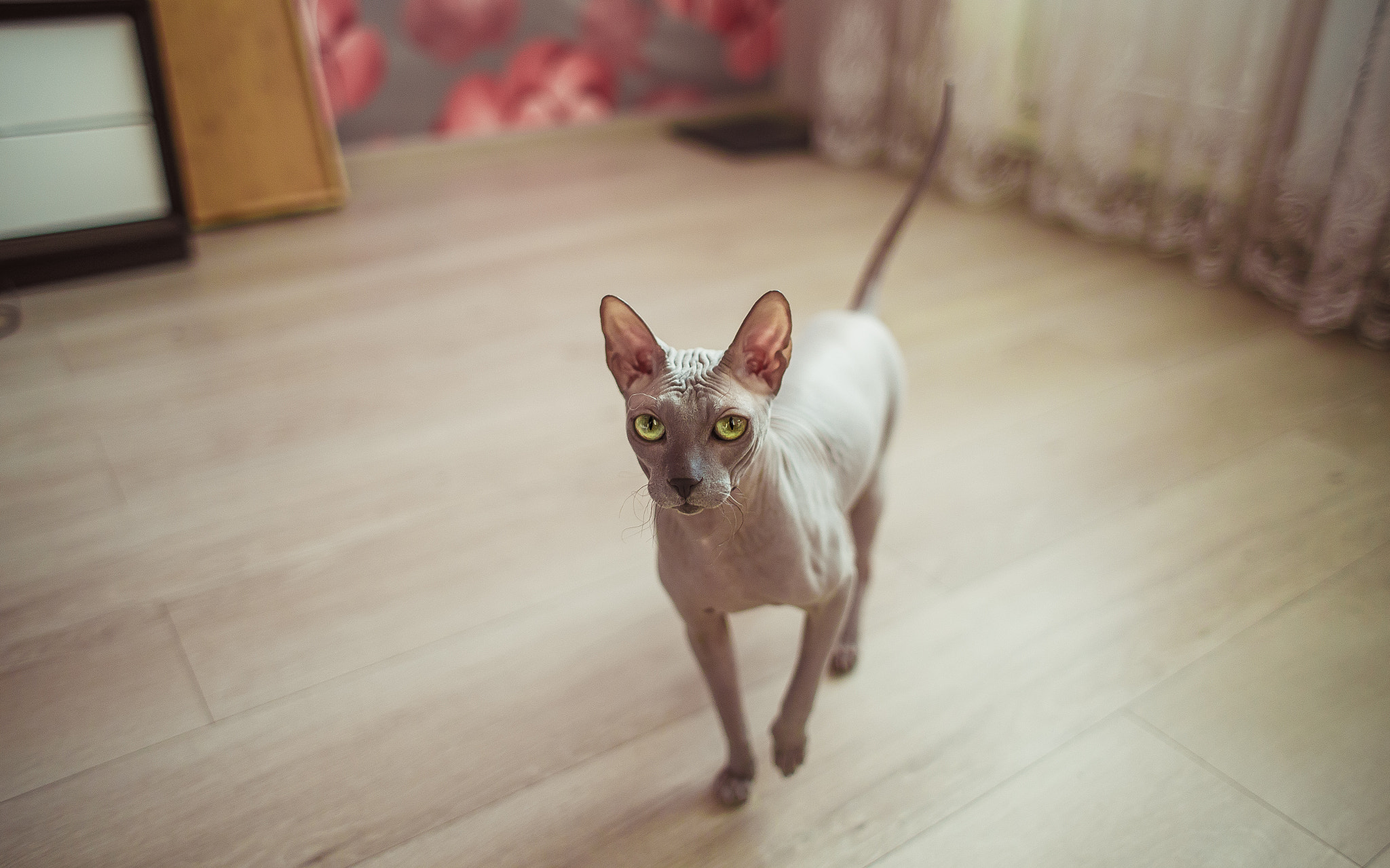 Canon EOS 6D + Canon EF 28mm F1.8 USM sample photo. Img photography