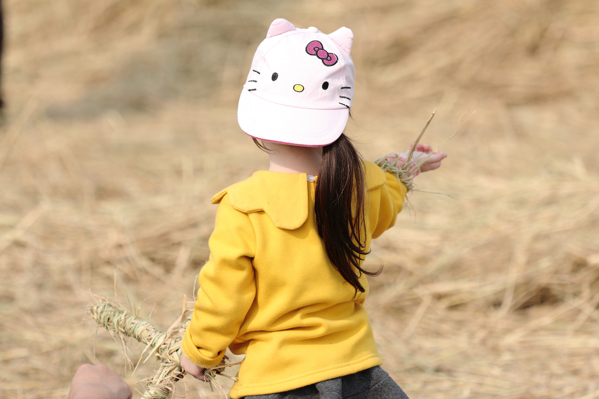 Canon EOS 70D + Canon EF 70-200mm F4L IS USM sample photo. Img_1059m 春遊麥田 photography