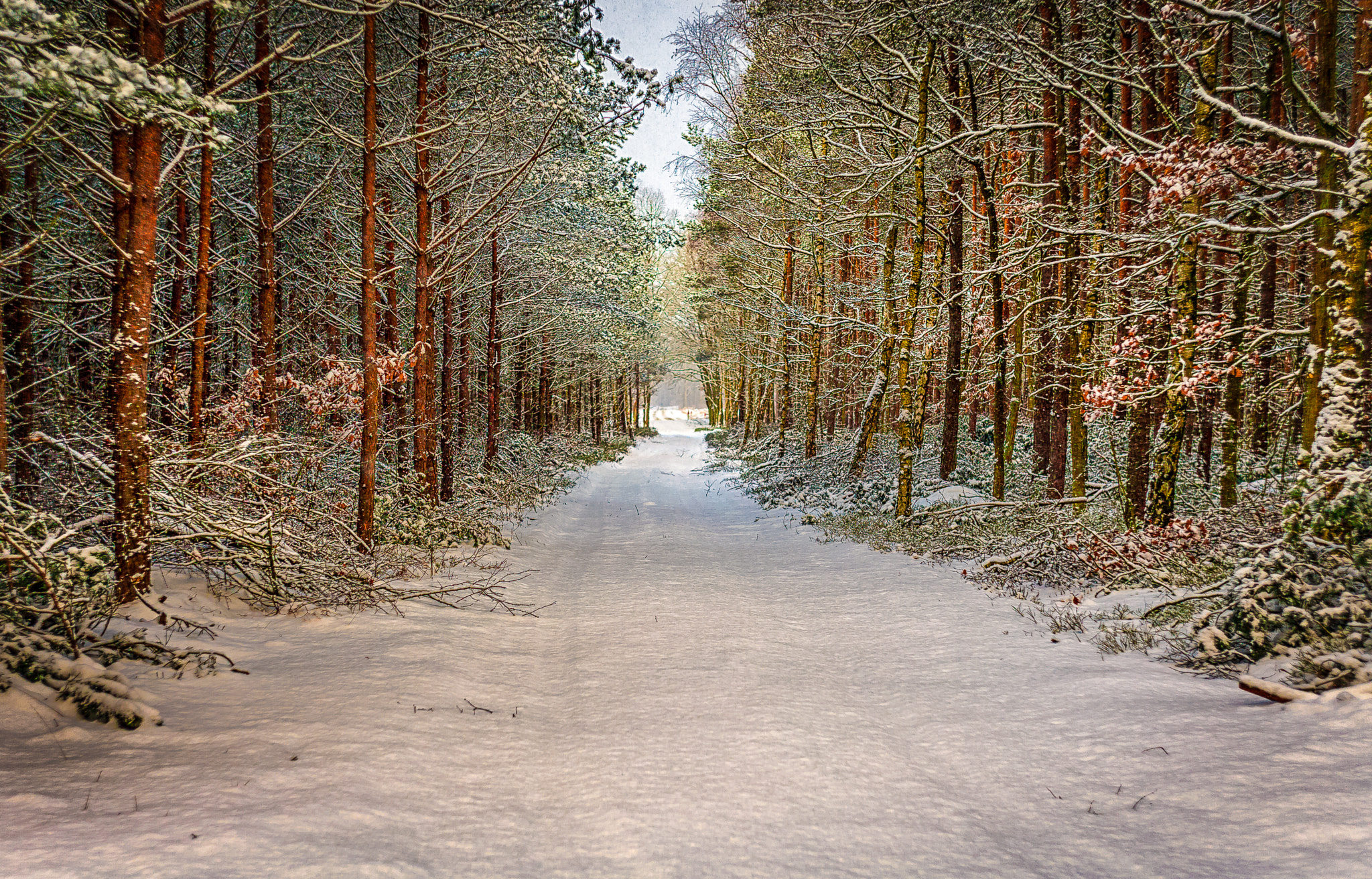 Canon EF 35-80mm f/4-5.6 sample photo. Winter path 2 photography