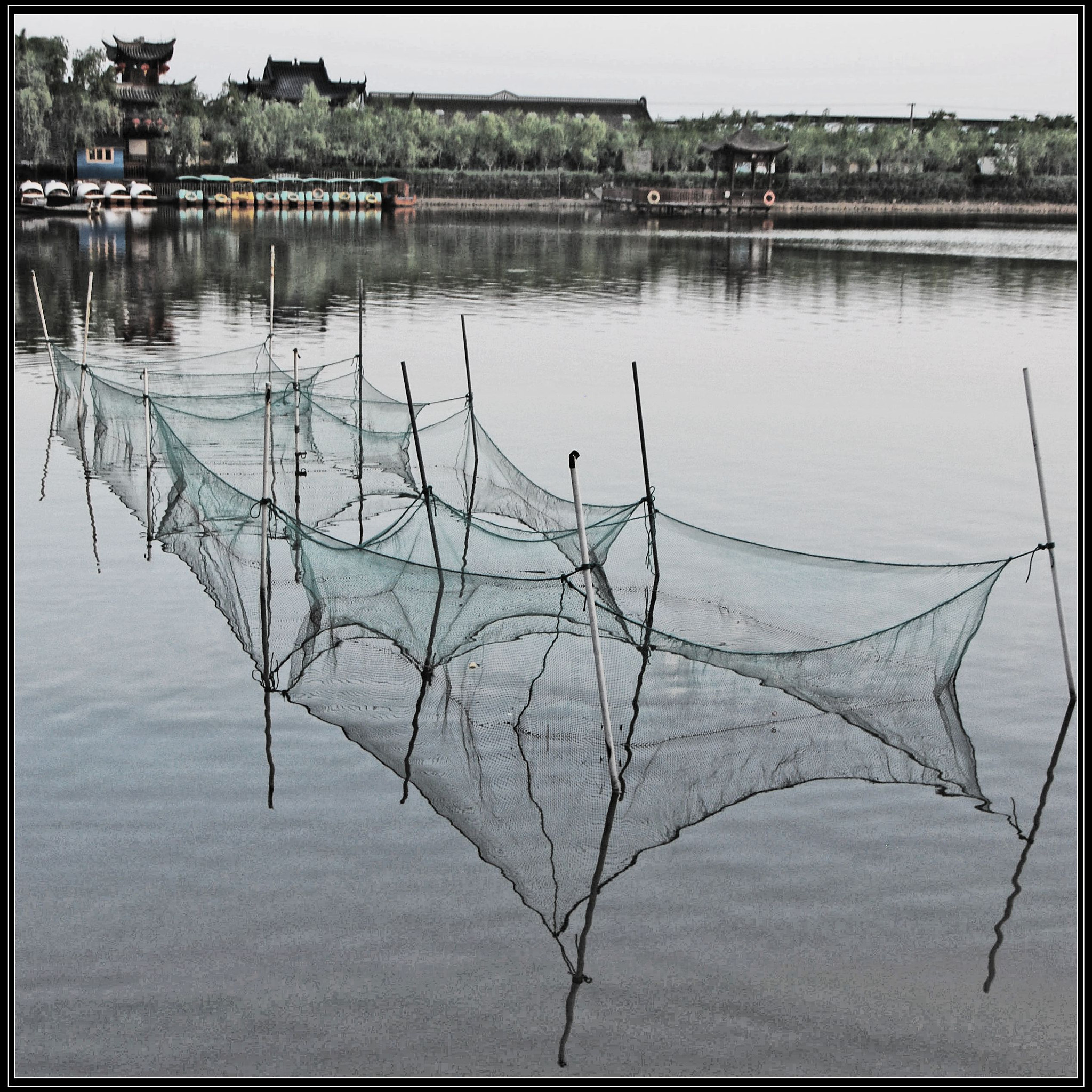 Nikon D80 sample photo. Fishing net photography