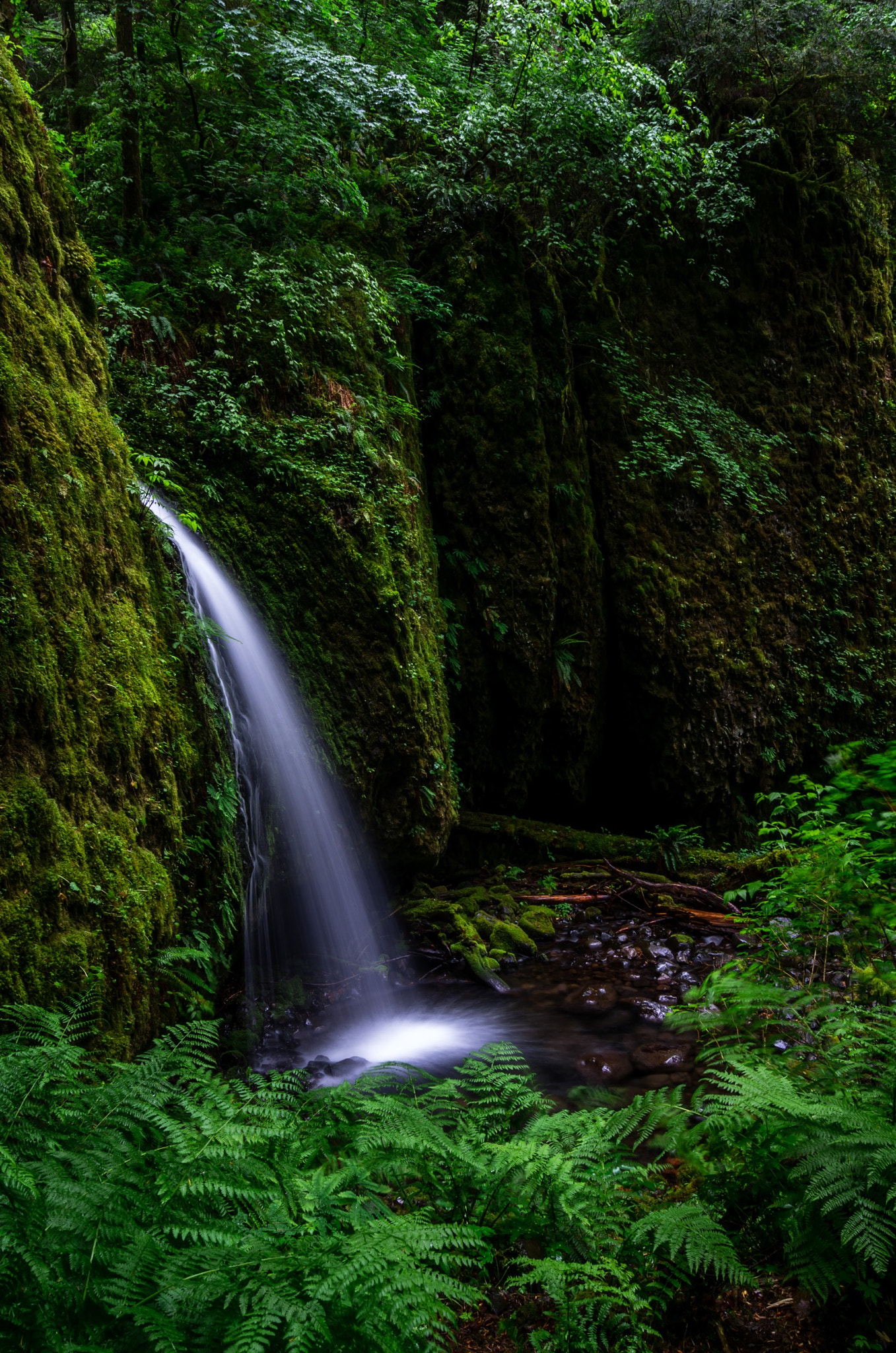 Pentax K-5 IIs + Pentax smc DA 12-24mm F4.0 ED AL (IF) sample photo. Mossi grotto photography