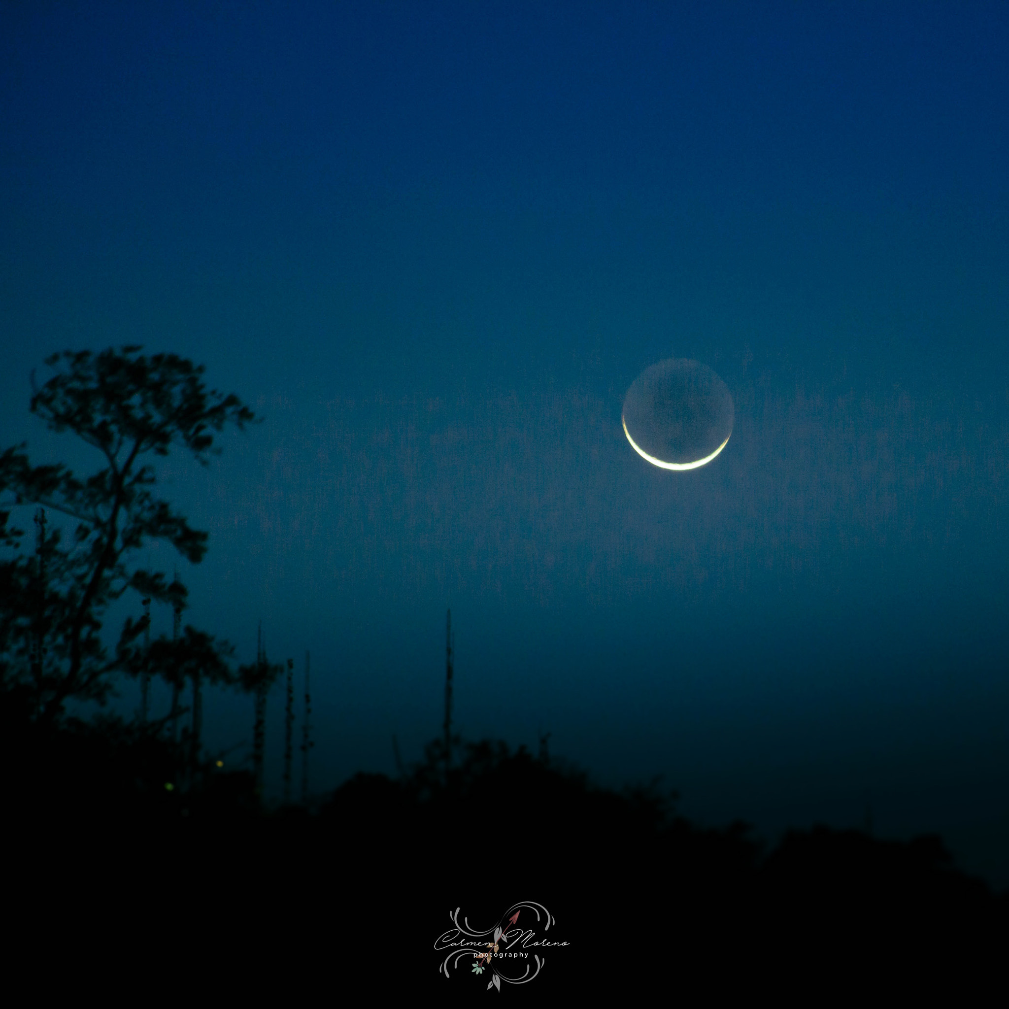 Canon EF 70-300mm F4-5.6 IS USM sample photo. Half moon photography