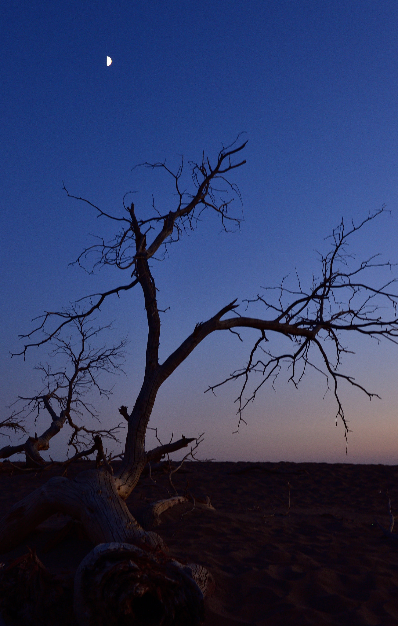Nikon D3X sample photo. Life photography