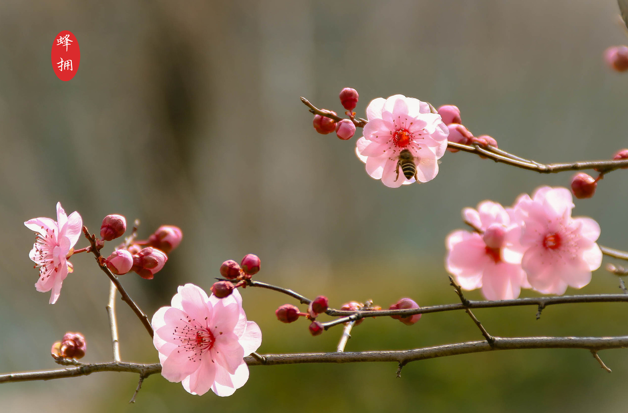 Canon EOS 750D (EOS Rebel T6i / EOS Kiss X8i) sample photo. () photography