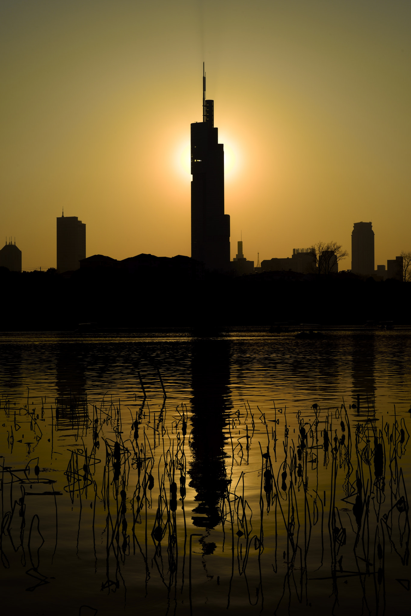 Nikon D810 + Sigma 50mm F1.4 DG HSM Art sample photo