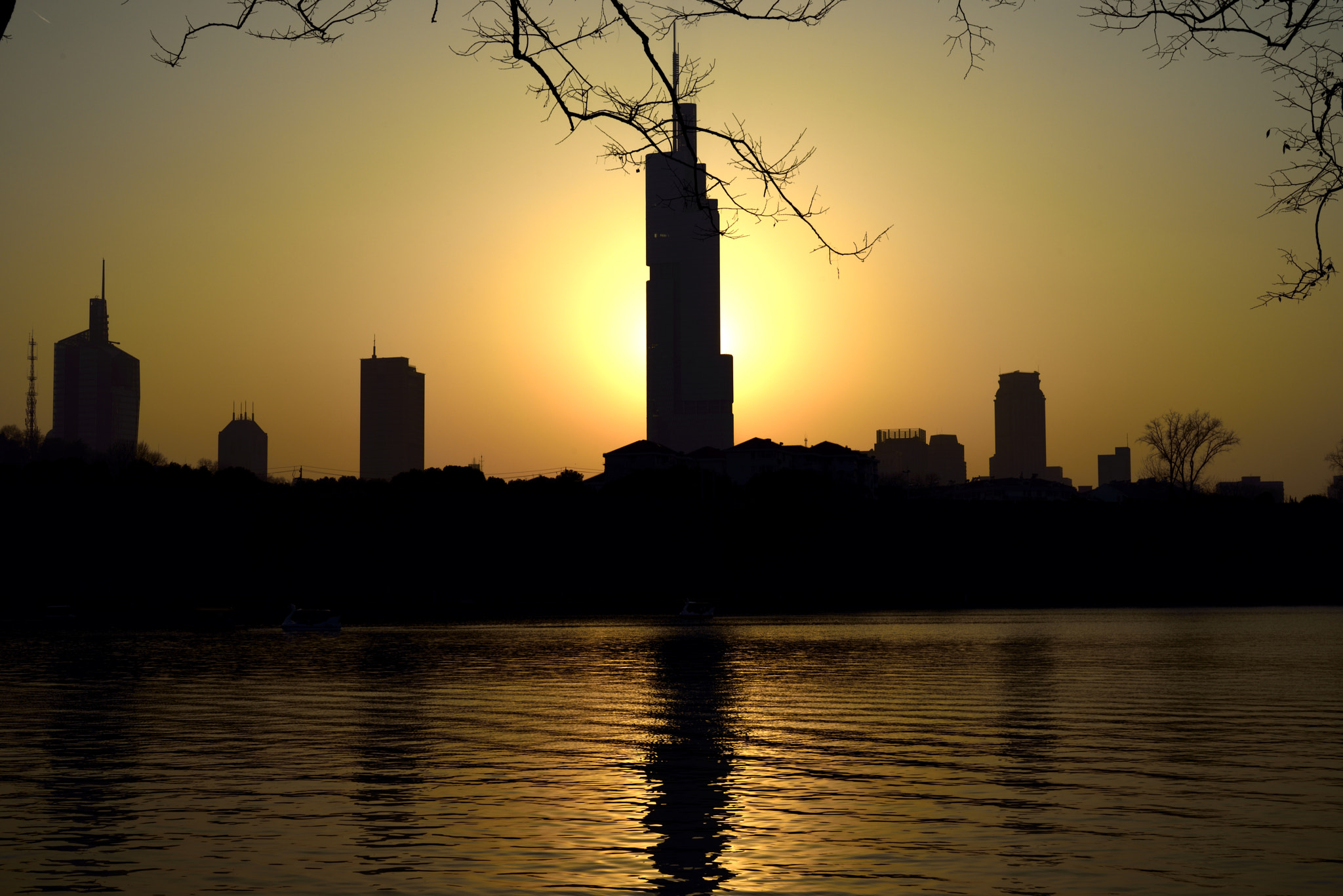 Nikon D810 + Sigma 50mm F1.4 DG HSM Art sample photo
