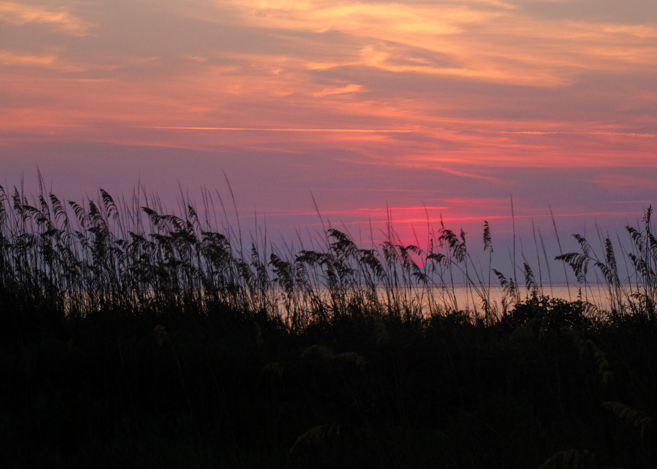Canon EOS 7D + Sigma 18-250mm F3.5-6.3 DC OS HSM sample photo. Dune sunrise photography