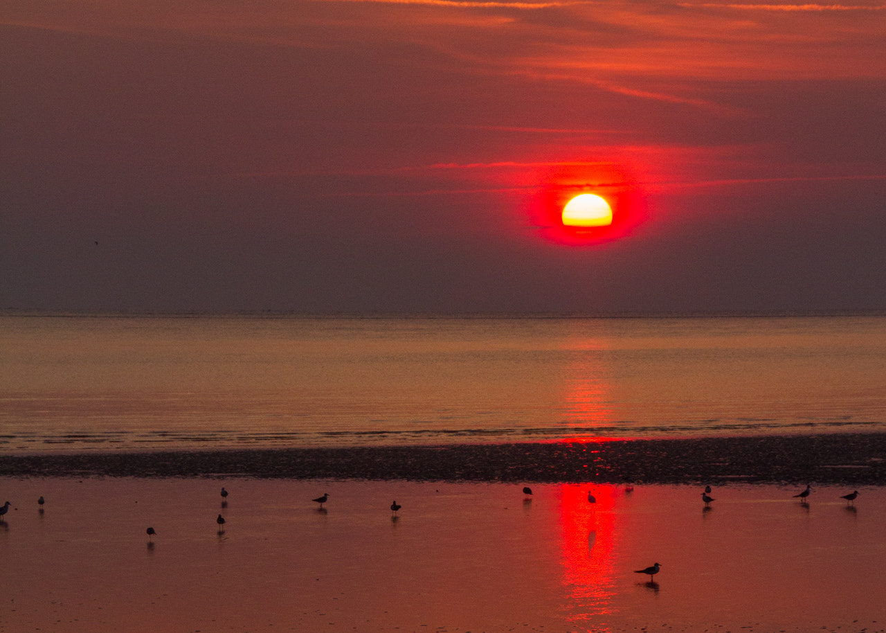 Canon EOS 7D + Sigma 18-250mm F3.5-6.3 DC OS HSM sample photo. Sun on the beach horizen photography