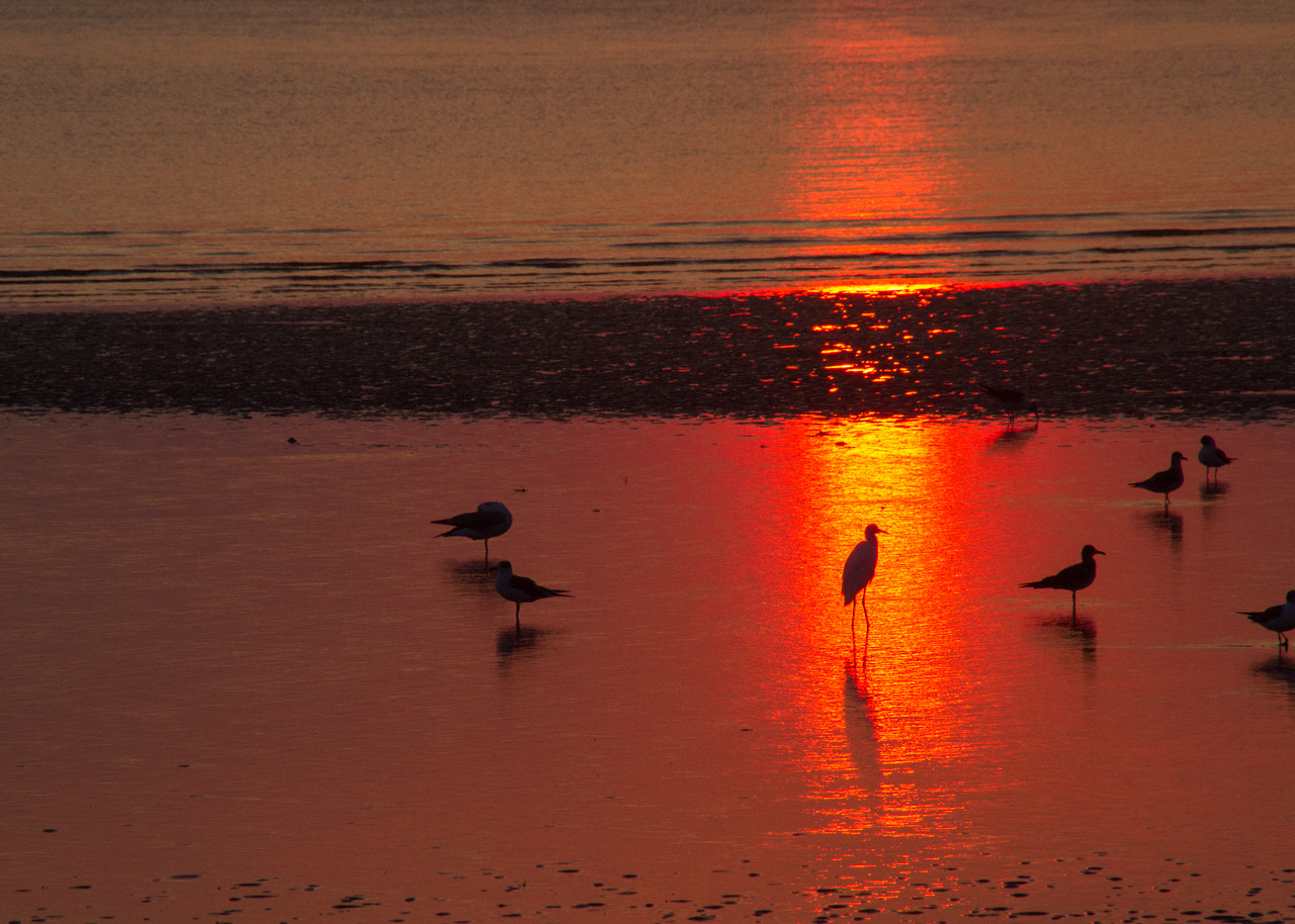 Canon EOS 7D + Sigma 18-250mm F3.5-6.3 DC OS HSM sample photo. Dawn at st. helena's photography