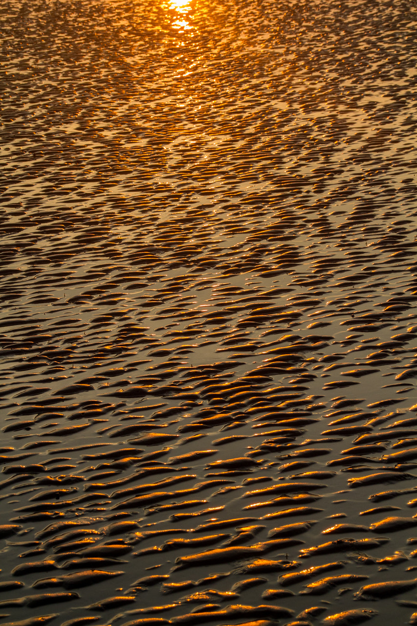 Canon EOS 7D + Sigma 18-250mm F3.5-6.3 DC OS HSM sample photo. Golden morning sand photography