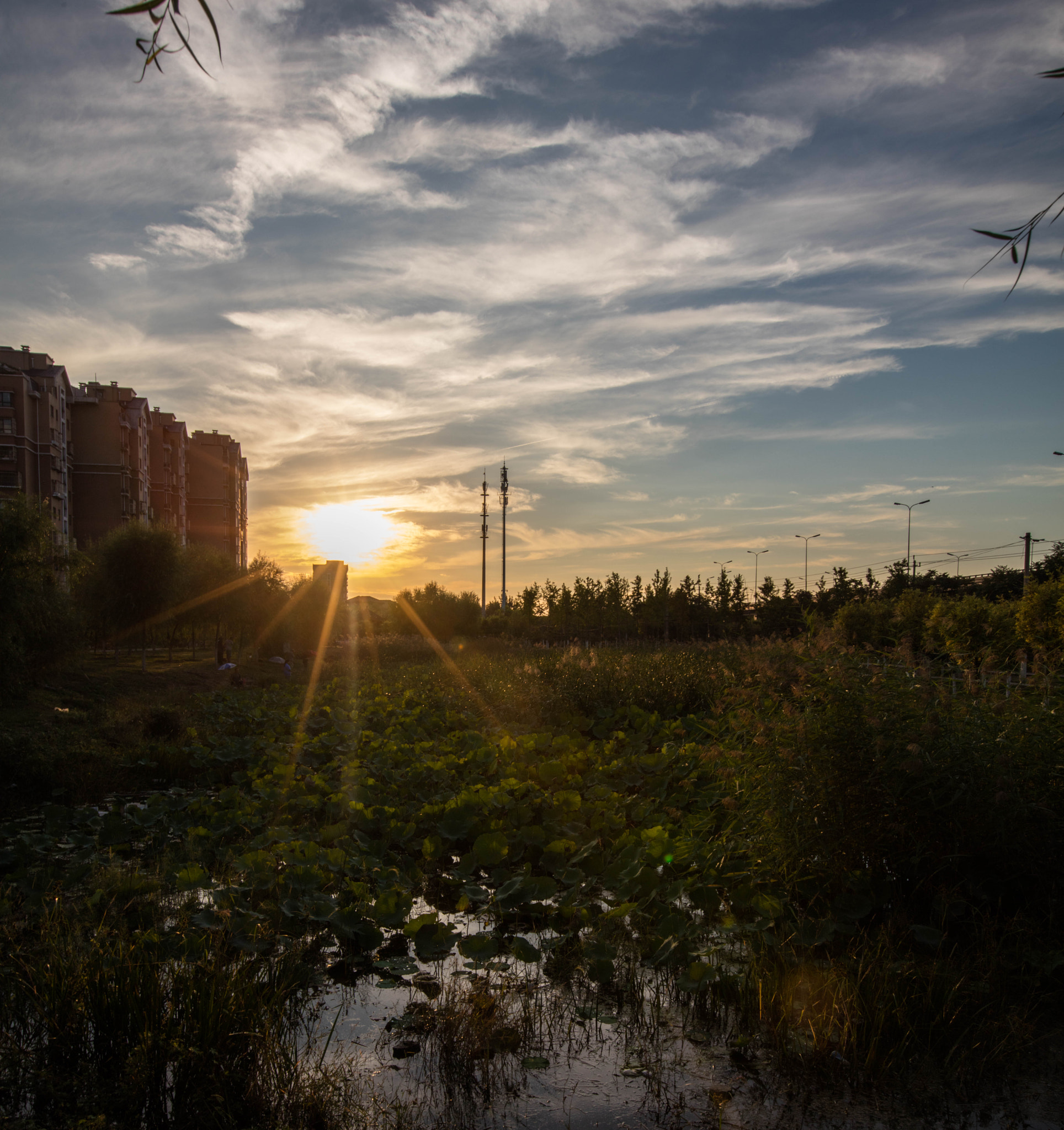 Canon EF 16-35mm F2.8L II USM sample photo. Ja photography