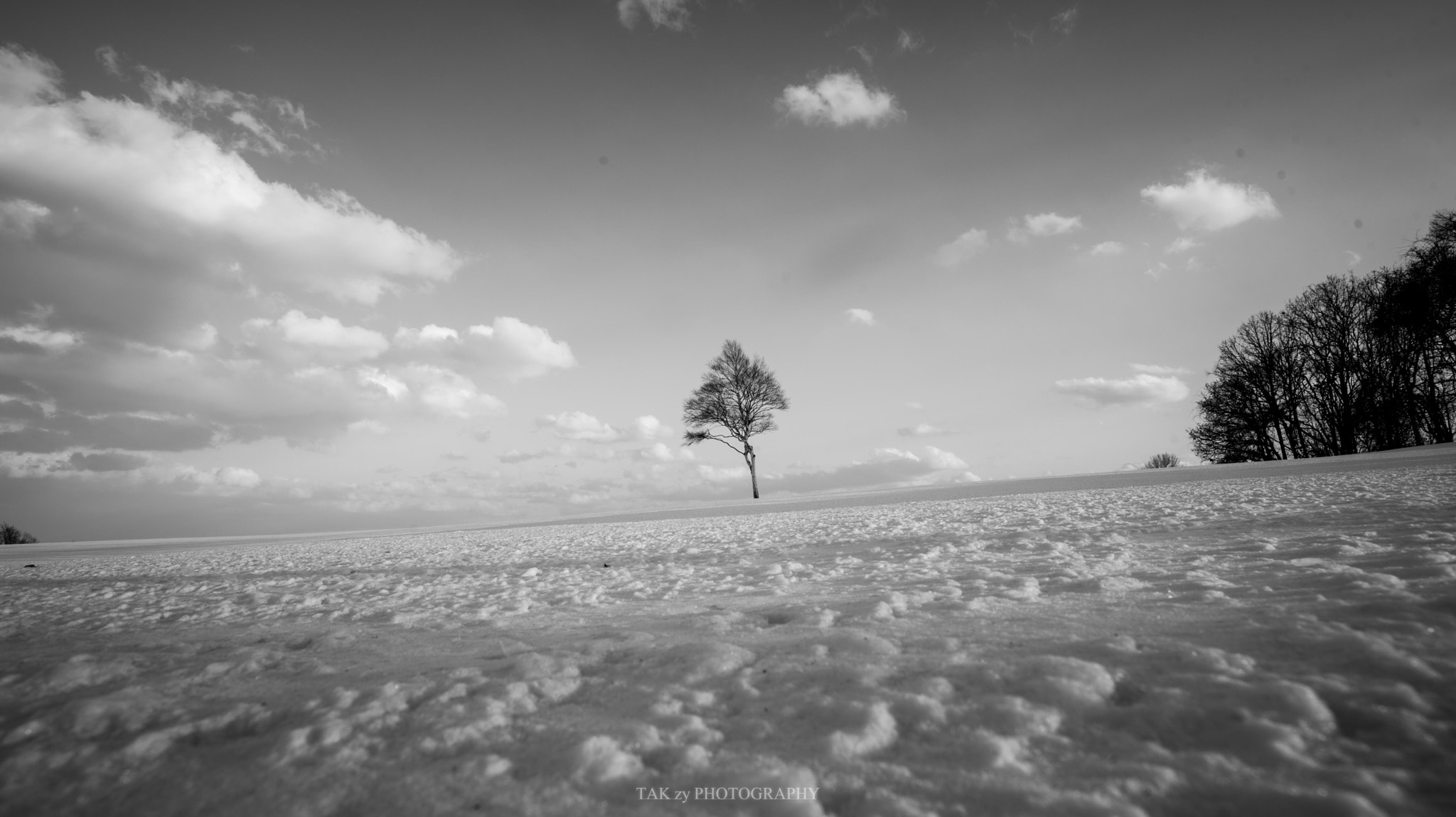Nikon AF-S Nikkor 18-35mm F3.5-4.5G ED sample photo. No name ”the one tree” photography