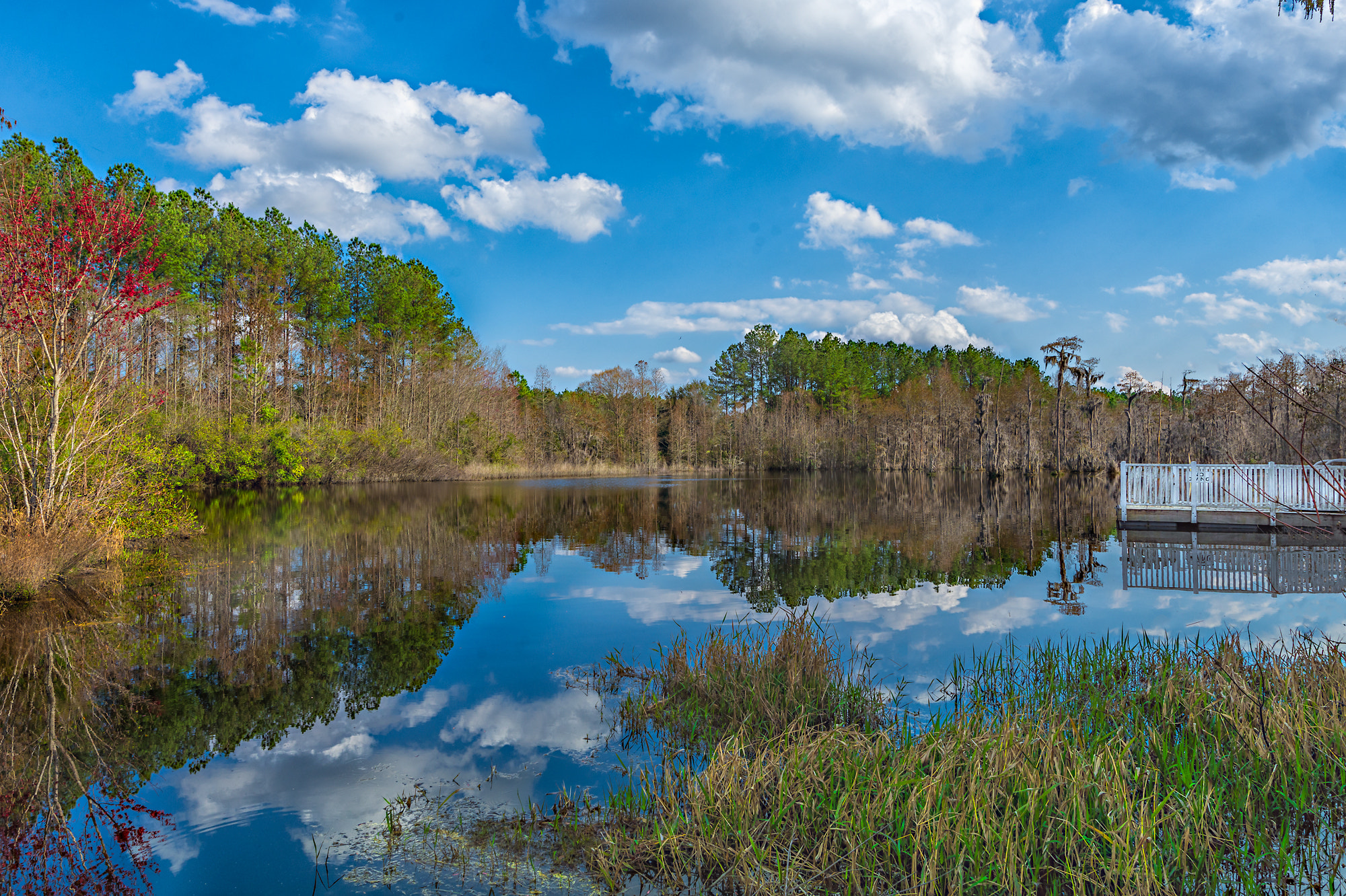 Nikon AF-S Nikkor 16-35mm F4G ED VR sample photo. Reflections photography