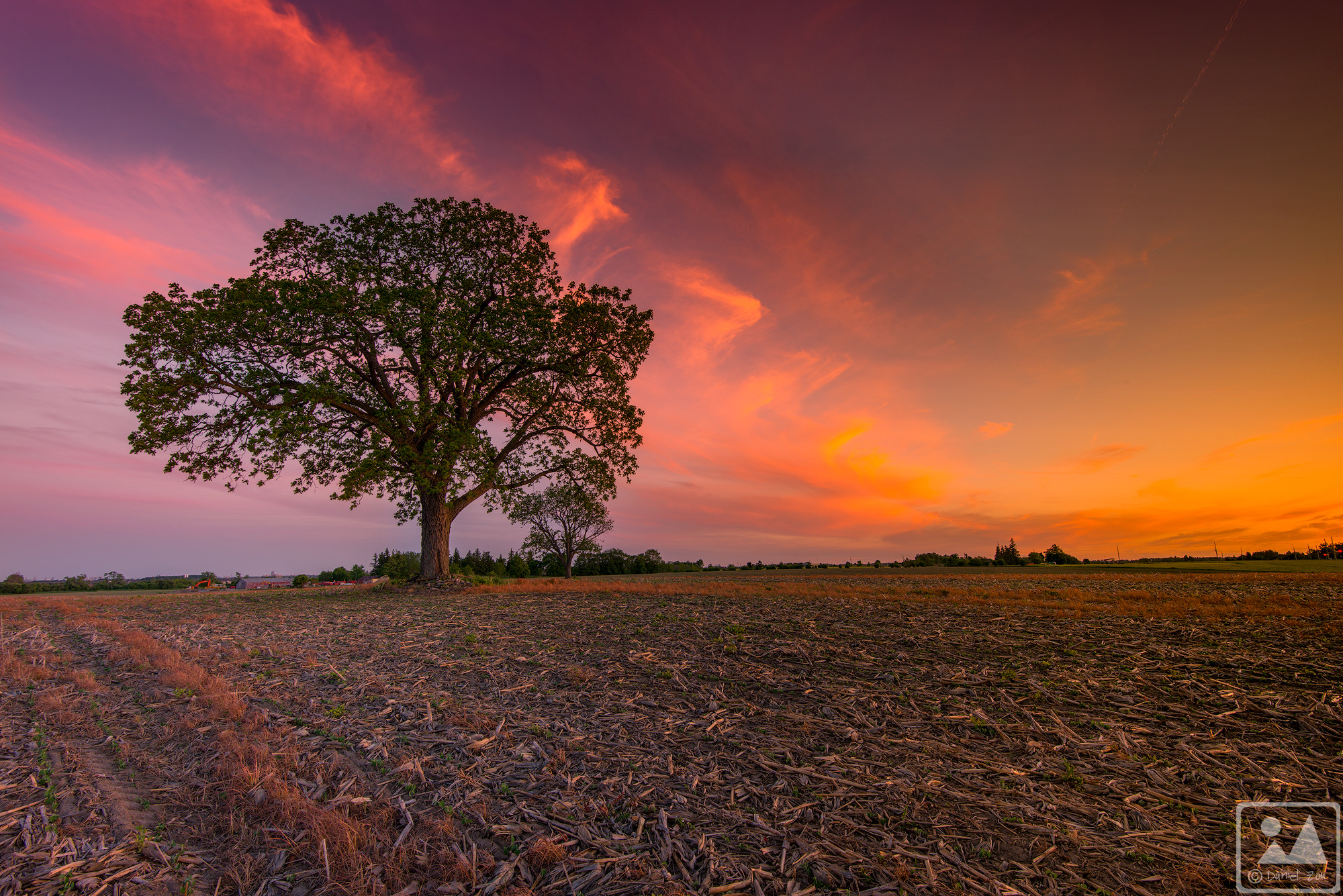 Nikon AF-S Nikkor 16-35mm F4G ED VR sample photo. Blending of colors photography