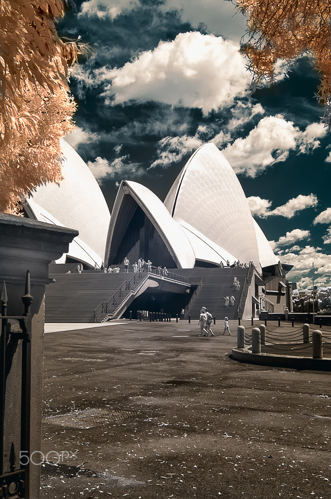 Nikon AF-S Nikkor 24-70mm F2.8G ED sample photo. The sydney opera house seen at ir photography