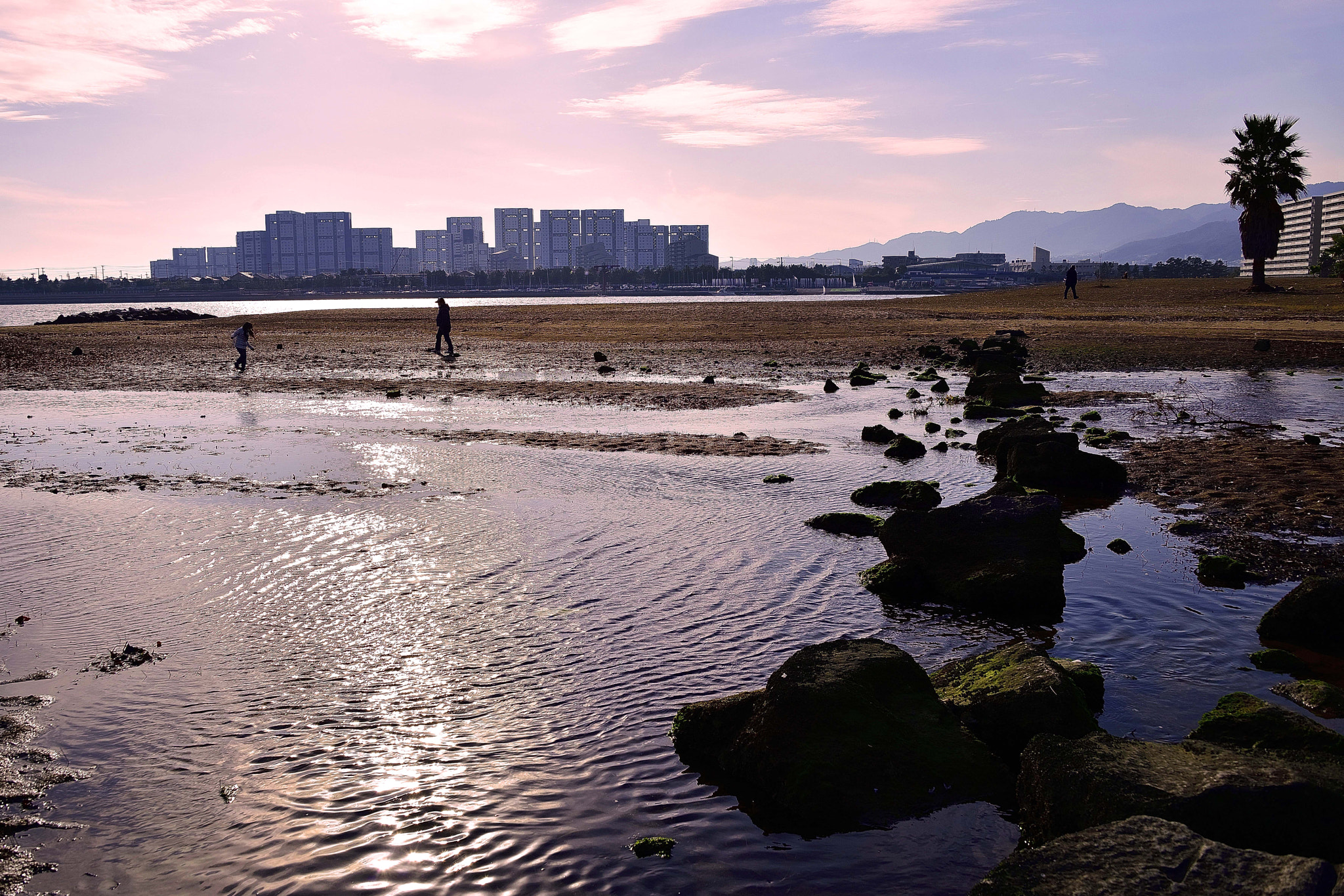 Nikon D800E sample photo. Beach in the early spring photography
