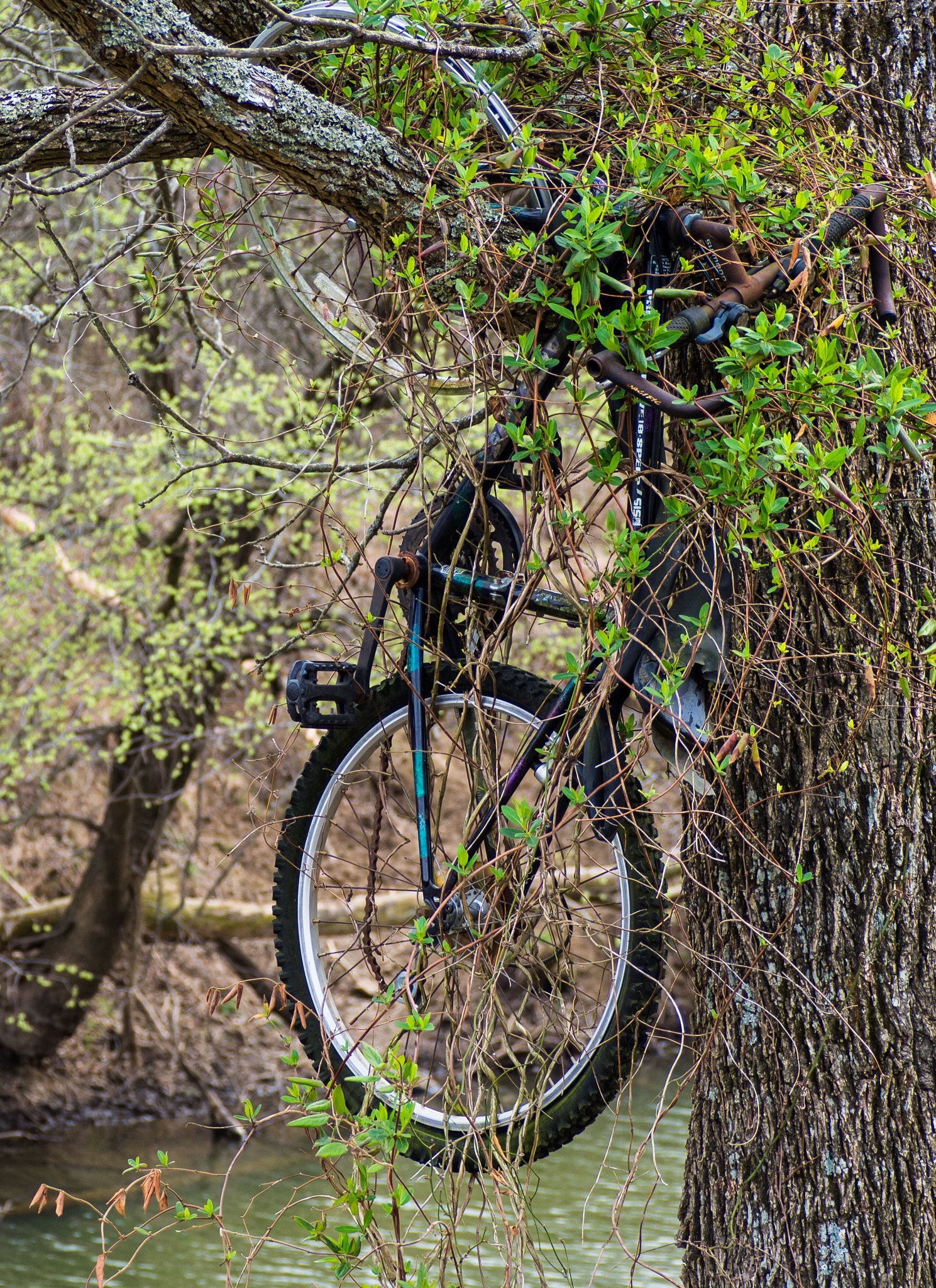 Olympus OM-D E-M10 sample photo. Last ride photography