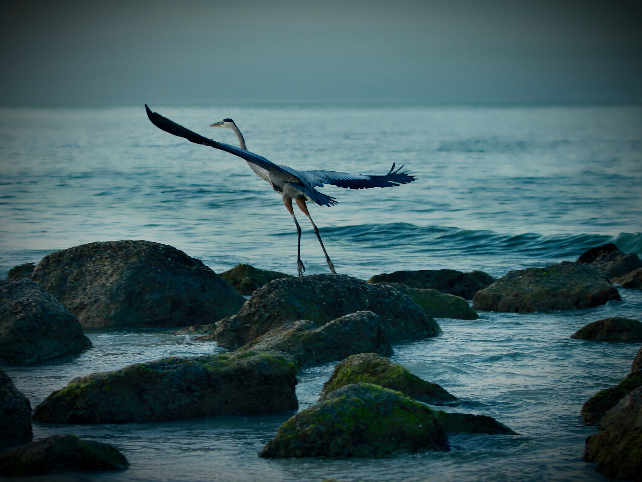 Canon EF 70-200mm F2.8L IS II USM sample photo. Fishing photography
