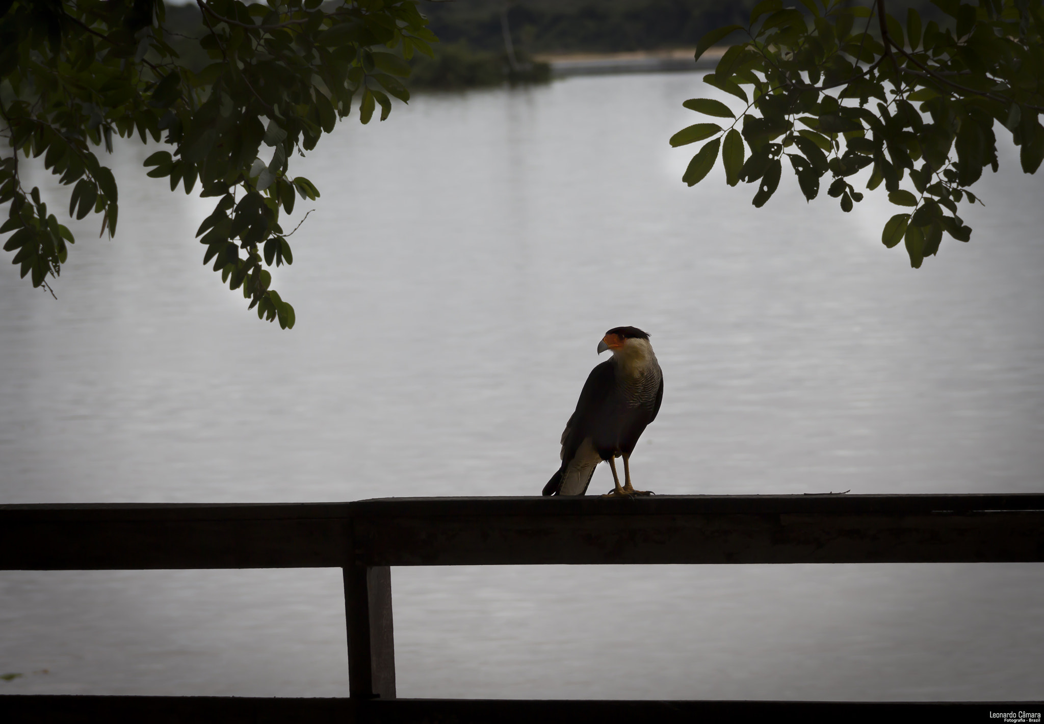 Canon EF-S 18-135mm F3.5-5.6 IS sample photo. Araguaia river - brazil photography