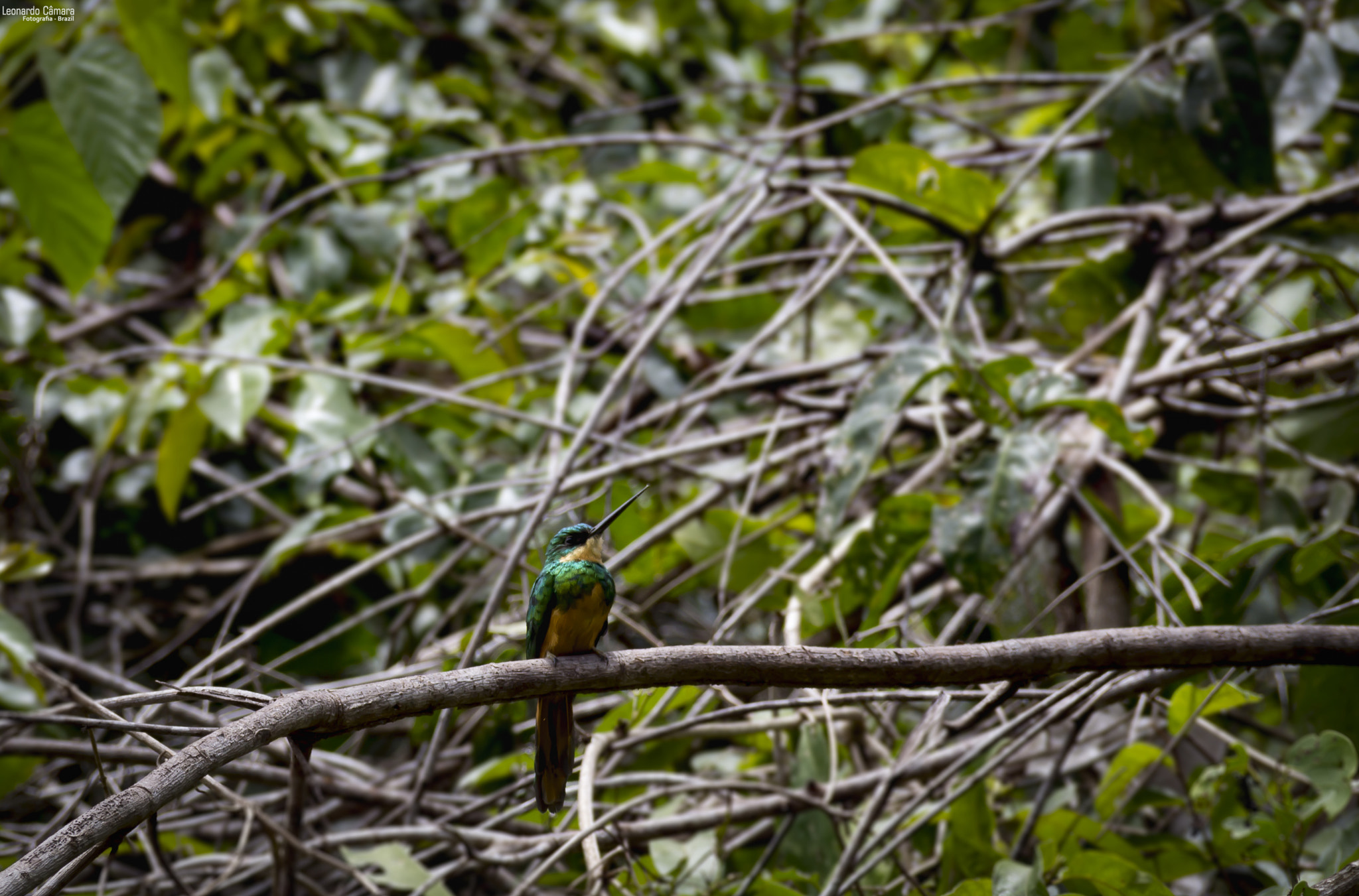 Canon EF-S 18-135mm F3.5-5.6 IS sample photo. Araguaia river - brazil photography