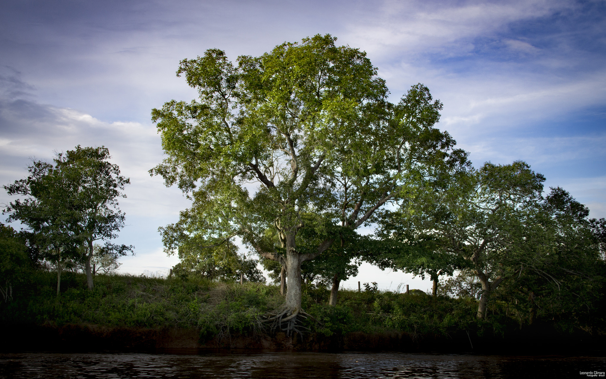 Canon EF-S 18-135mm F3.5-5.6 IS sample photo. Araguaia river - brazil photography