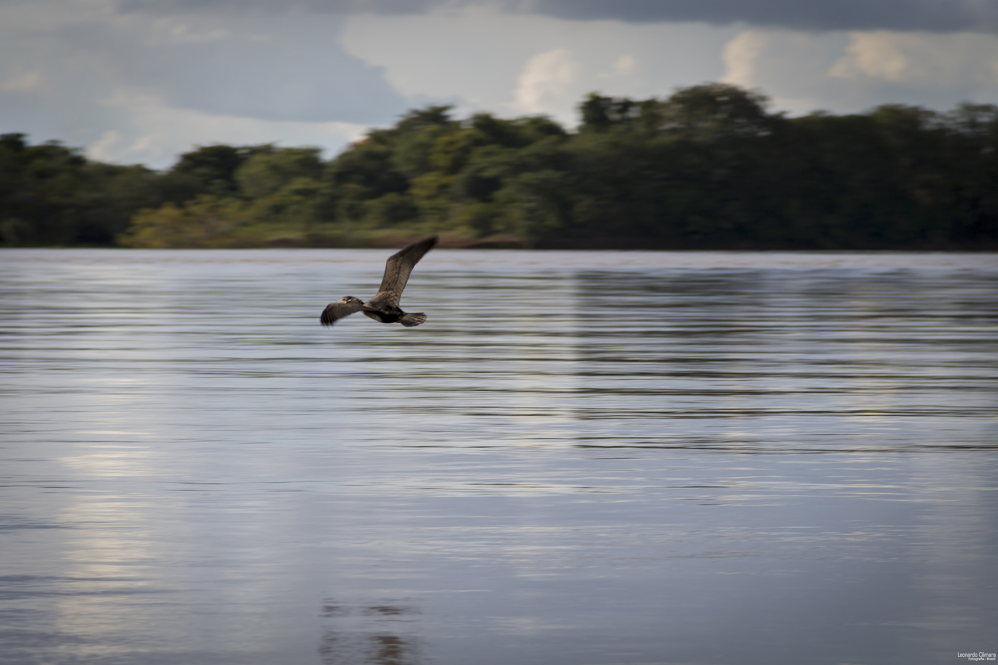Canon EOS 700D (EOS Rebel T5i / EOS Kiss X7i) + Canon EF-S 18-135mm F3.5-5.6 IS sample photo. Araguaia river - brazil photography