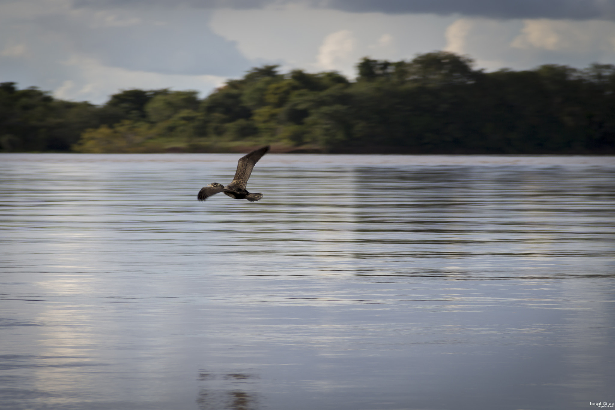 Canon EF-S 18-135mm F3.5-5.6 IS sample photo. Araguaia river - brazil photography
