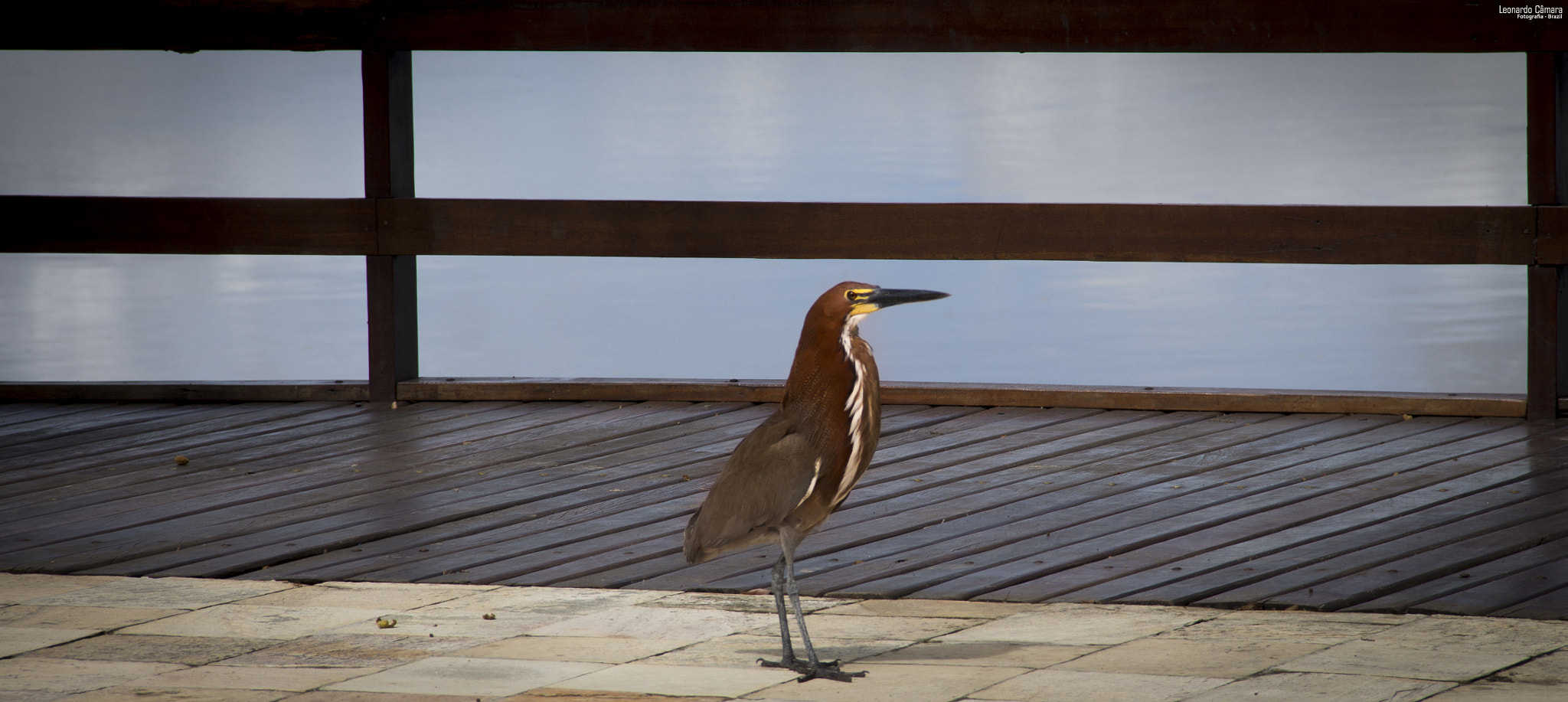 Canon EF-S 18-135mm F3.5-5.6 IS sample photo. Araguaia river - brazil photography