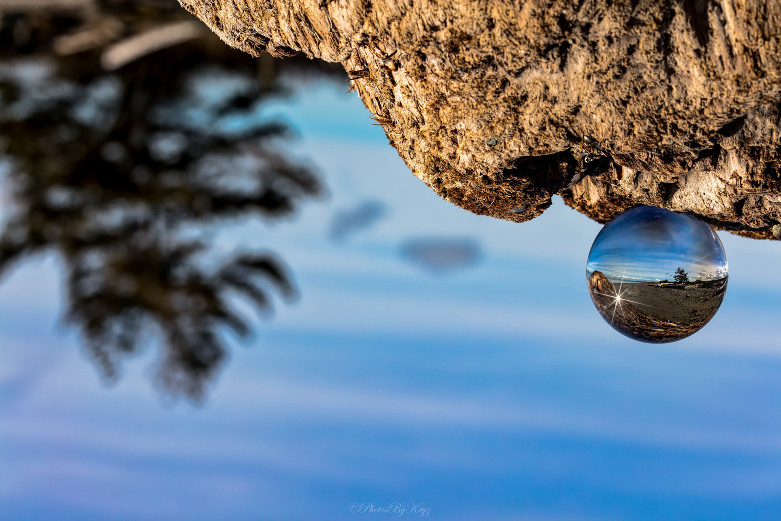 Canon EF 100mm F2.8L Macro IS USM sample photo. Upside down refractions photography