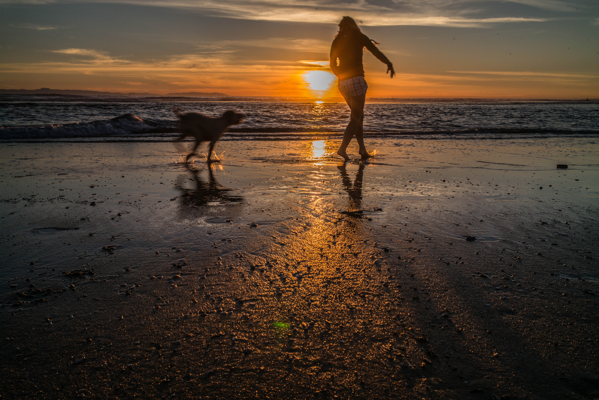 Elmarit-M 1:2.8/21 sample photo. Lady and dog photography