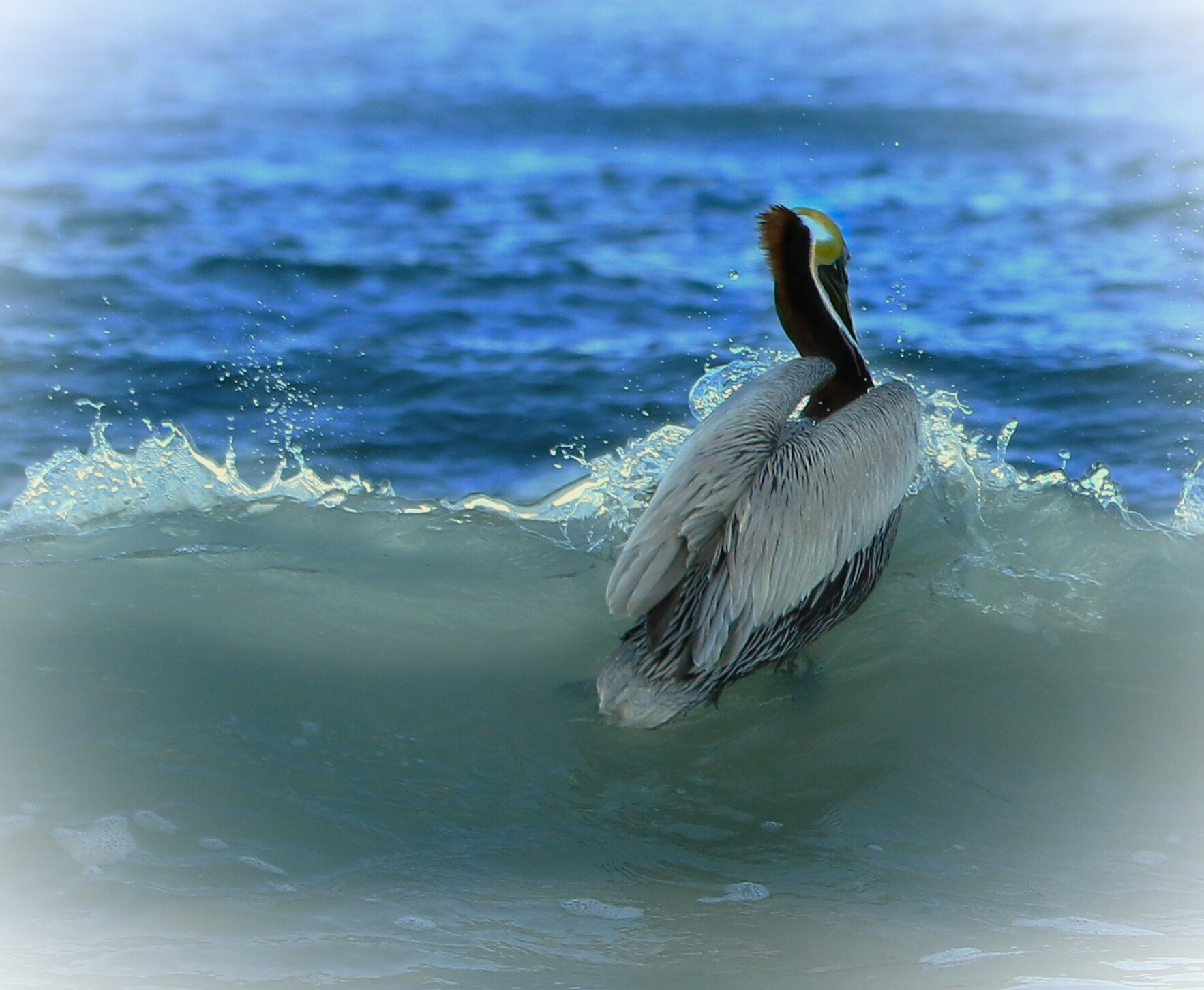 Canon EF 70-200mm F2.8L IS II USM sample photo. Surfing photography