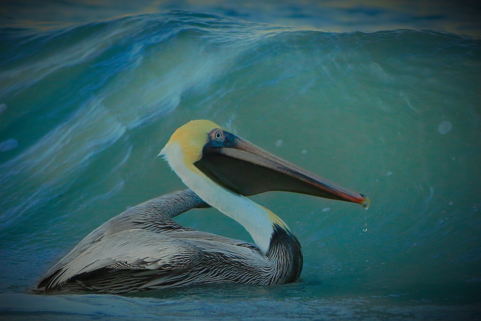 Canon EF 70-200mm F2.8L IS II USM sample photo. Wave photography