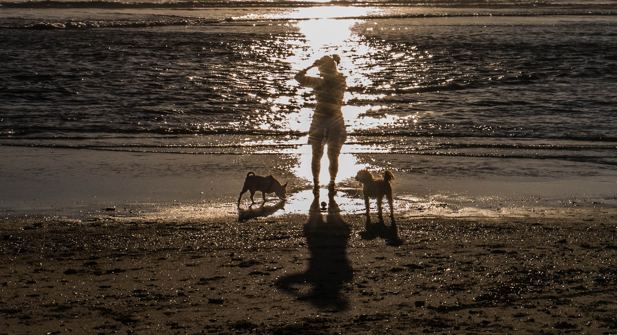 Elmarit-M 1:2.8/21 sample photo. Lady and dog photography