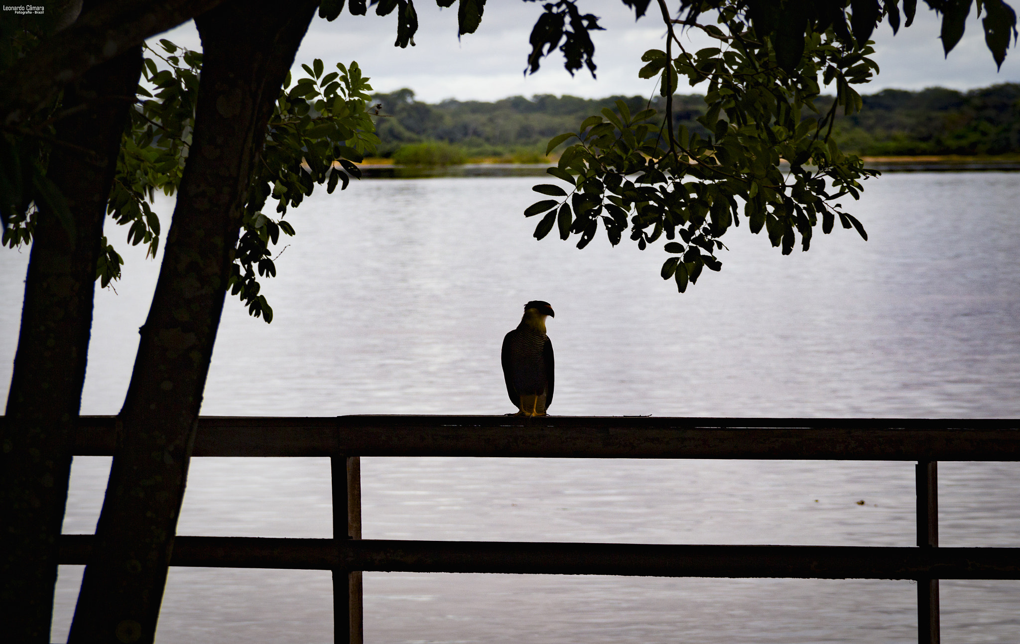 Canon EOS 700D (EOS Rebel T5i / EOS Kiss X7i) + Canon EF-S 18-135mm F3.5-5.6 IS sample photo. Araguaia river - brazil photography