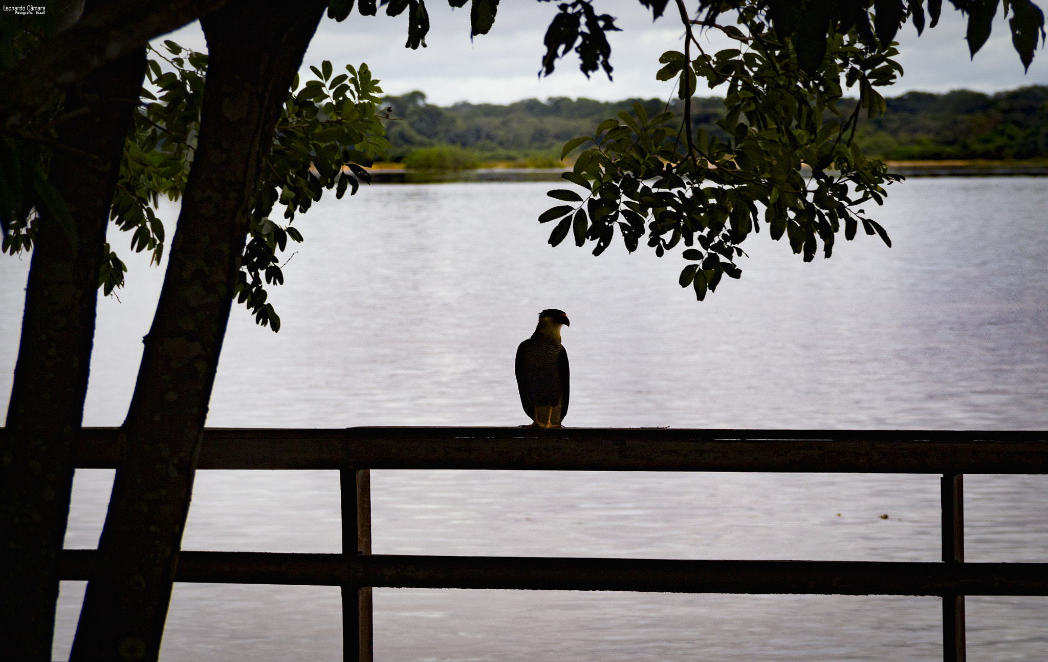 Canon EF-S 18-135mm F3.5-5.6 IS sample photo. Araguaia river - brazil photography