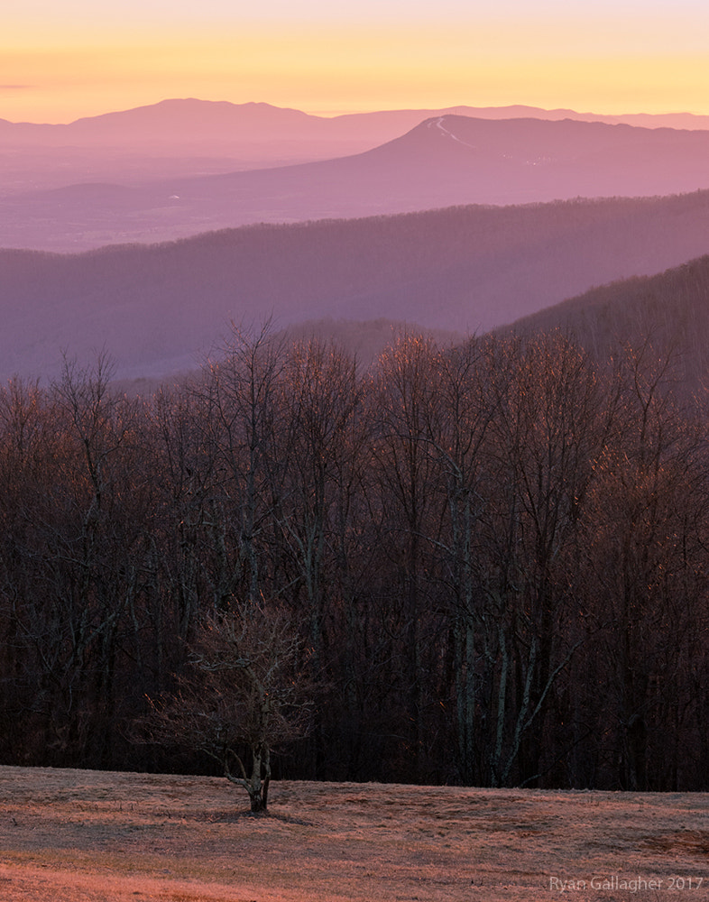 Canon EOS 7D Mark II + Canon EF-S 55-250mm F4-5.6 IS sample photo. Shenandoah sunset photography